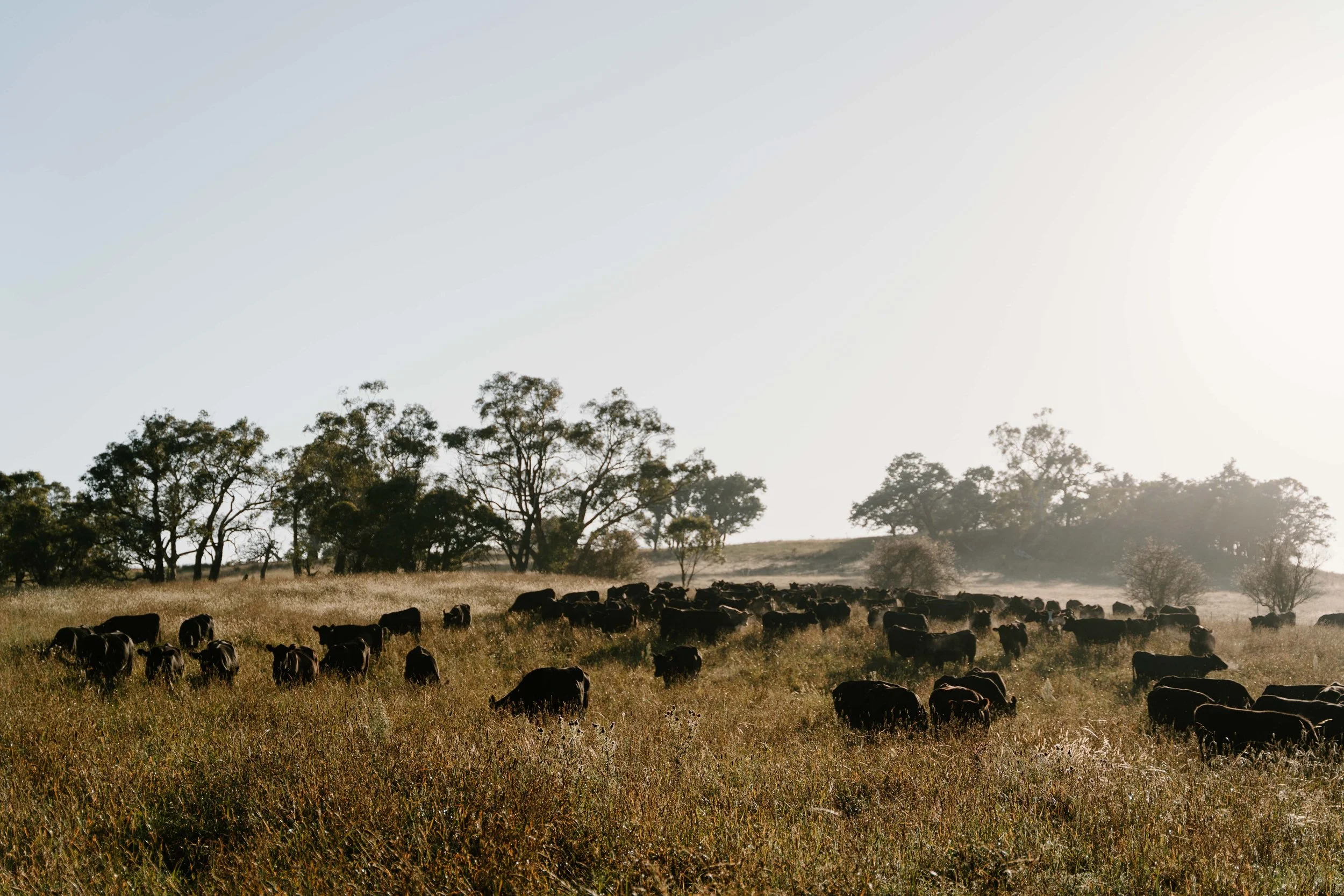 Twynam_DSC7652_March 06, 2024_Socials.jpg