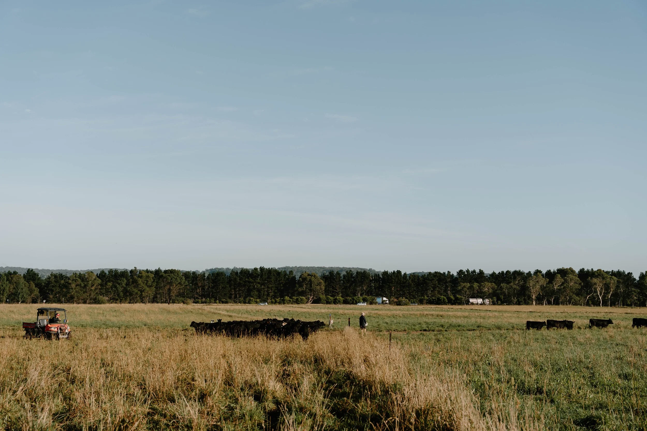 Twynam_DSC7686_March 06, 2024_Socials.jpg