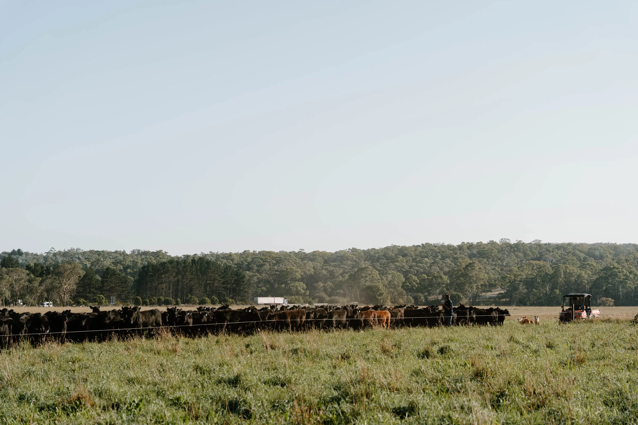 Twynam_DSC7704_March 06, 2024_Socials.jpg