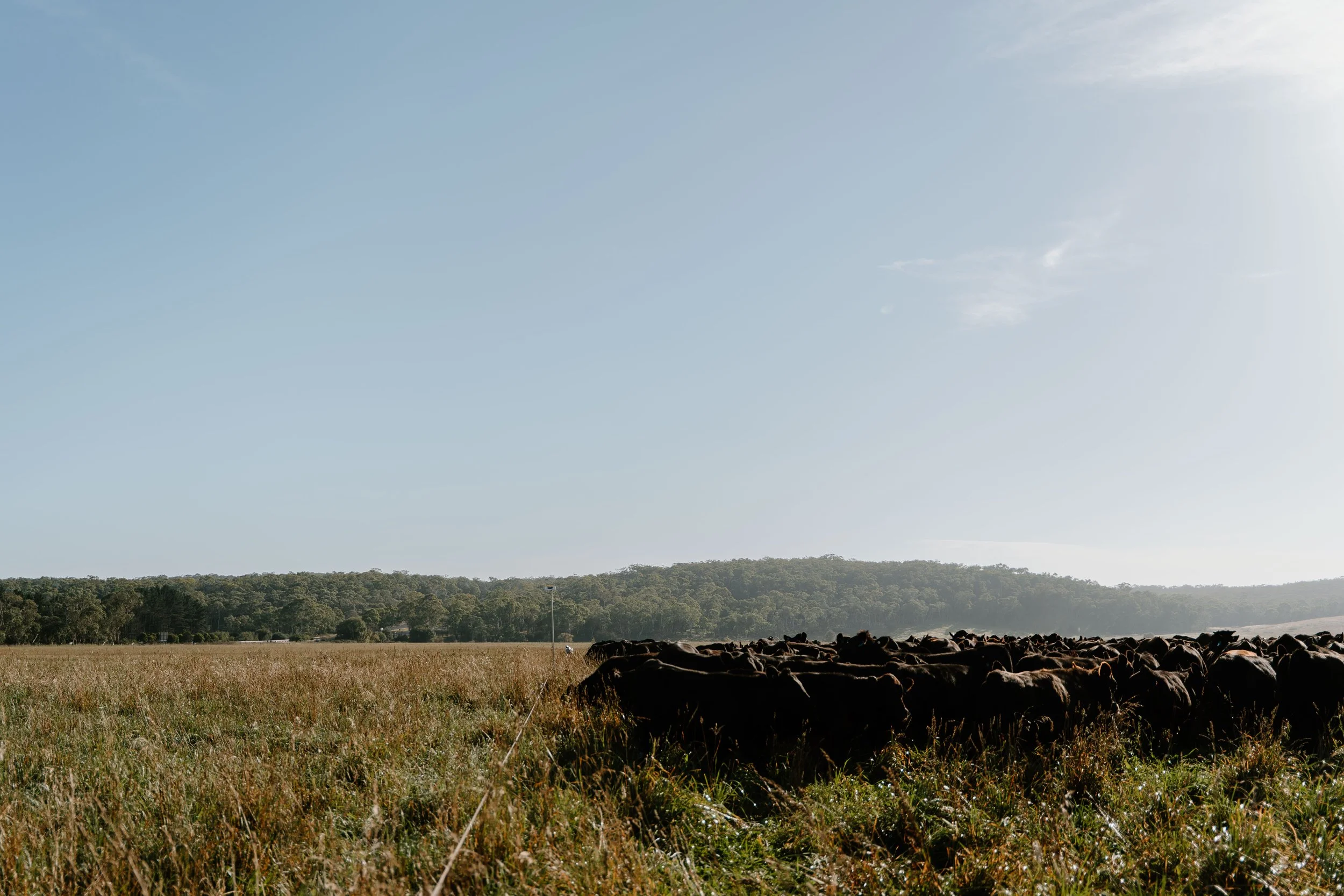 Twynam_DSC7726_March 06, 2024_Socials.jpg