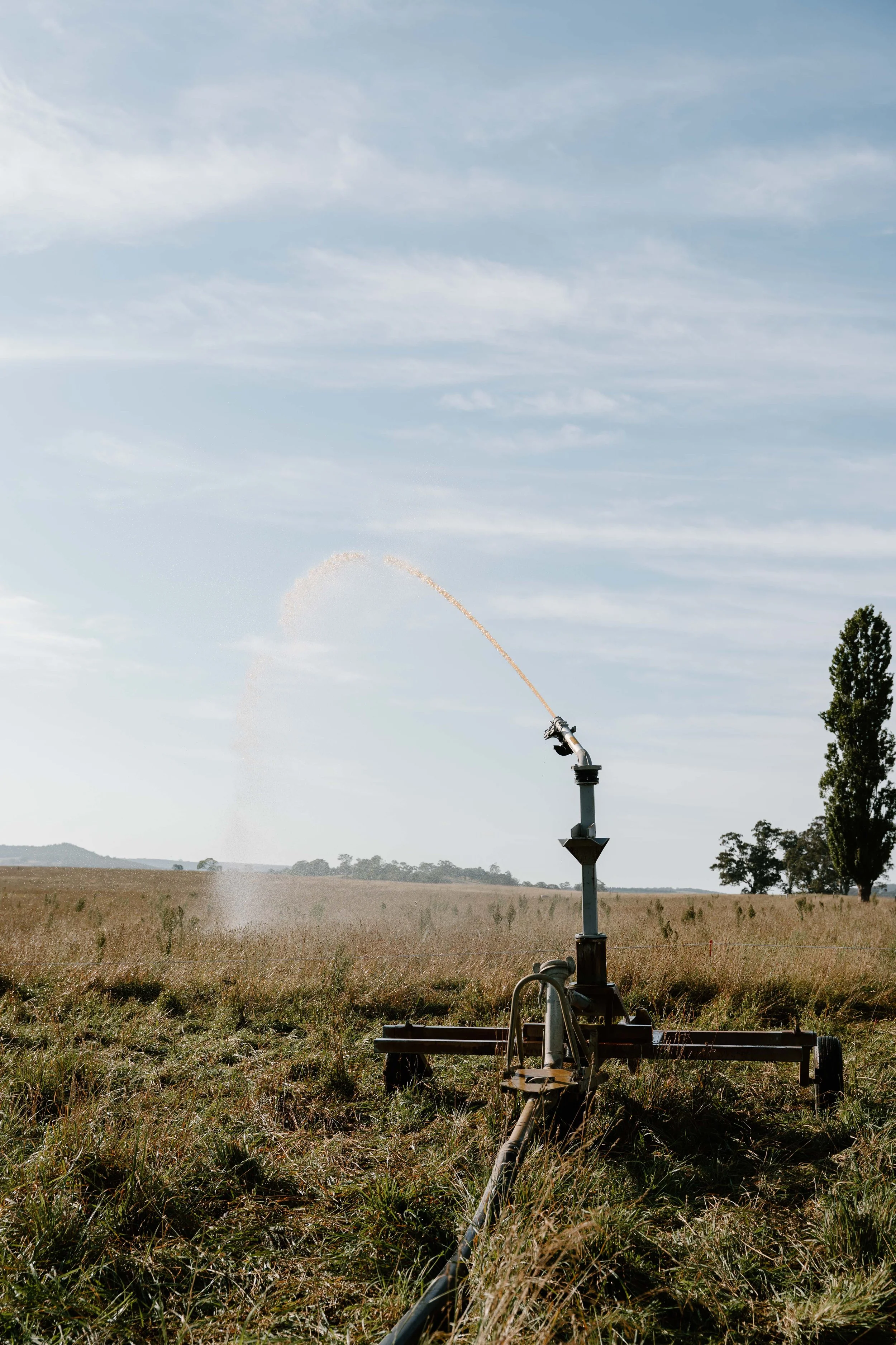 Twynam_DSC7798_March 06, 2024_Socials.jpg