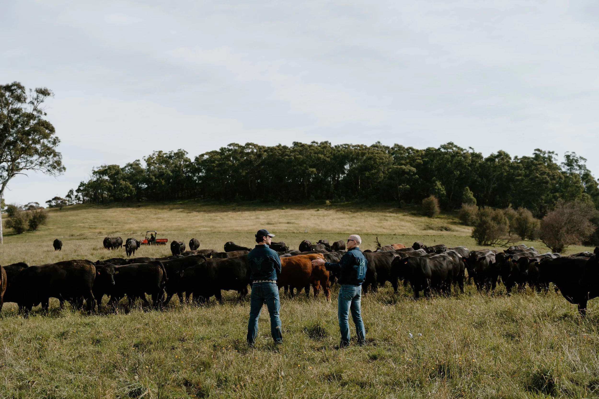 Twynam_DSC7842_March 06, 2024_Socials.jpg