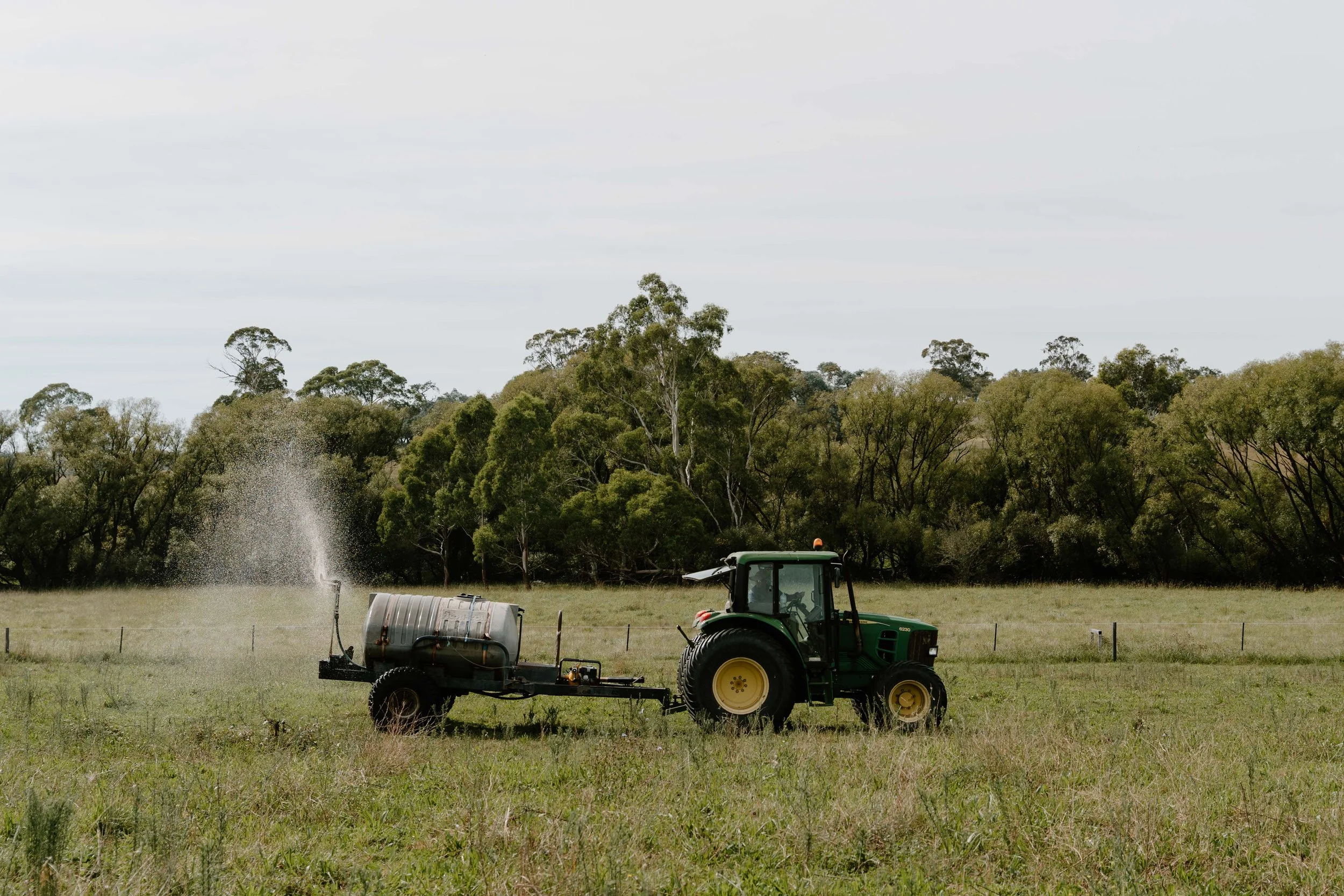 Twynam_DSC7908_March 06, 2024_Socials.jpg