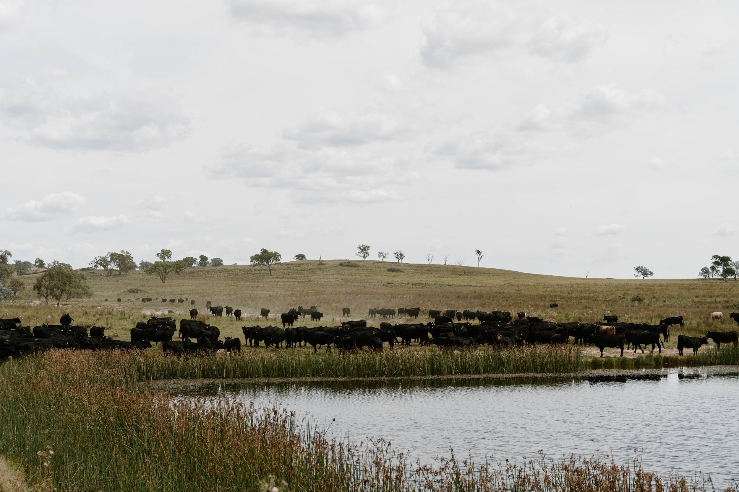 Twynam_DSC8130_March 06, 2024_Socials.jpg