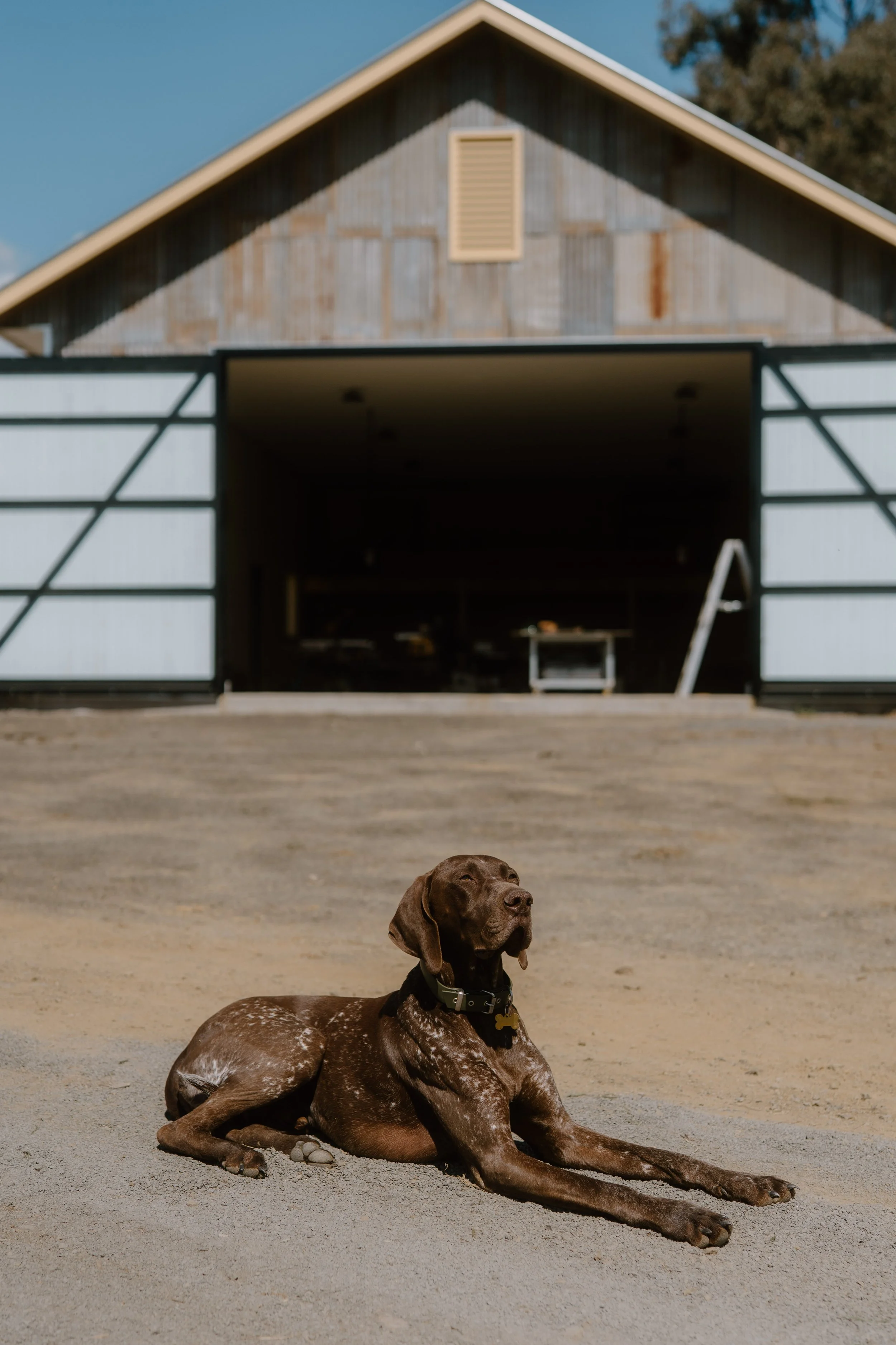 MableProjects_DSC2477_September 02, 2025.jpg