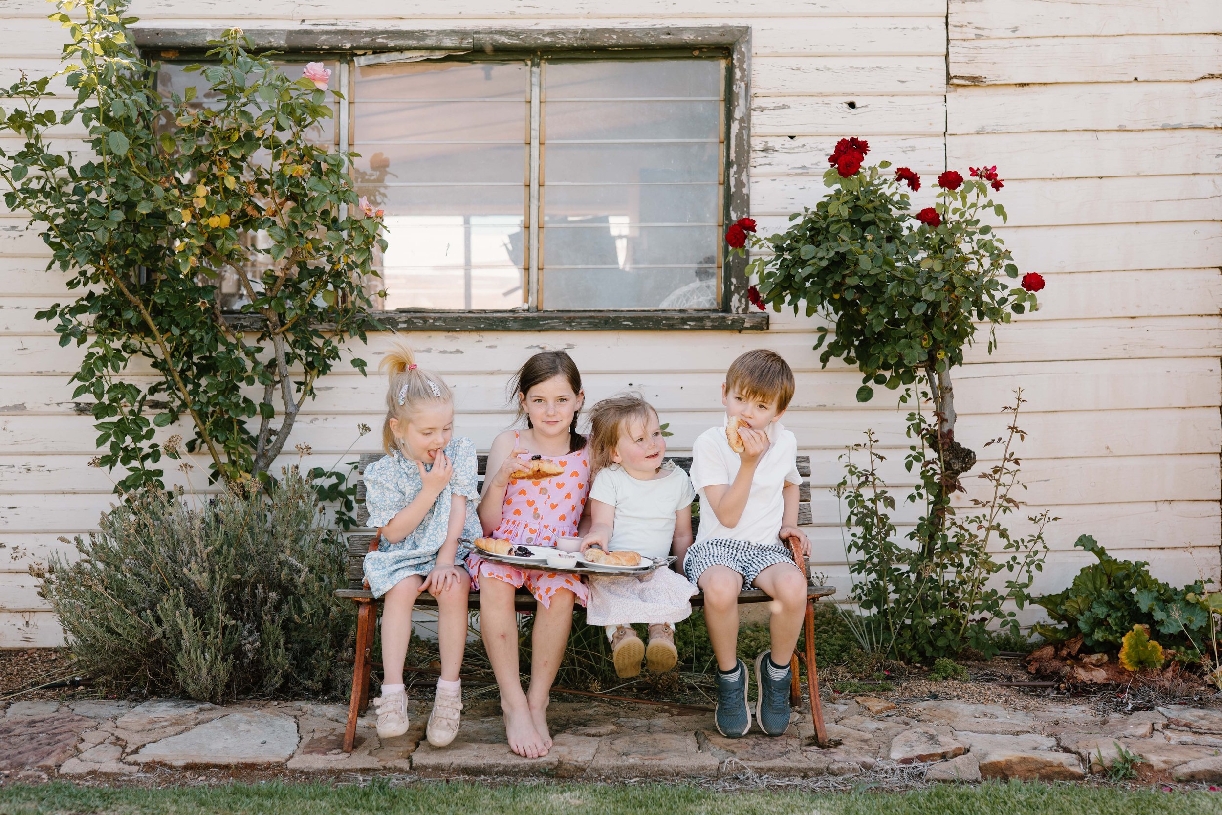 TheDillTickle_DSC6457_November 21, 2024_Socials.jpg