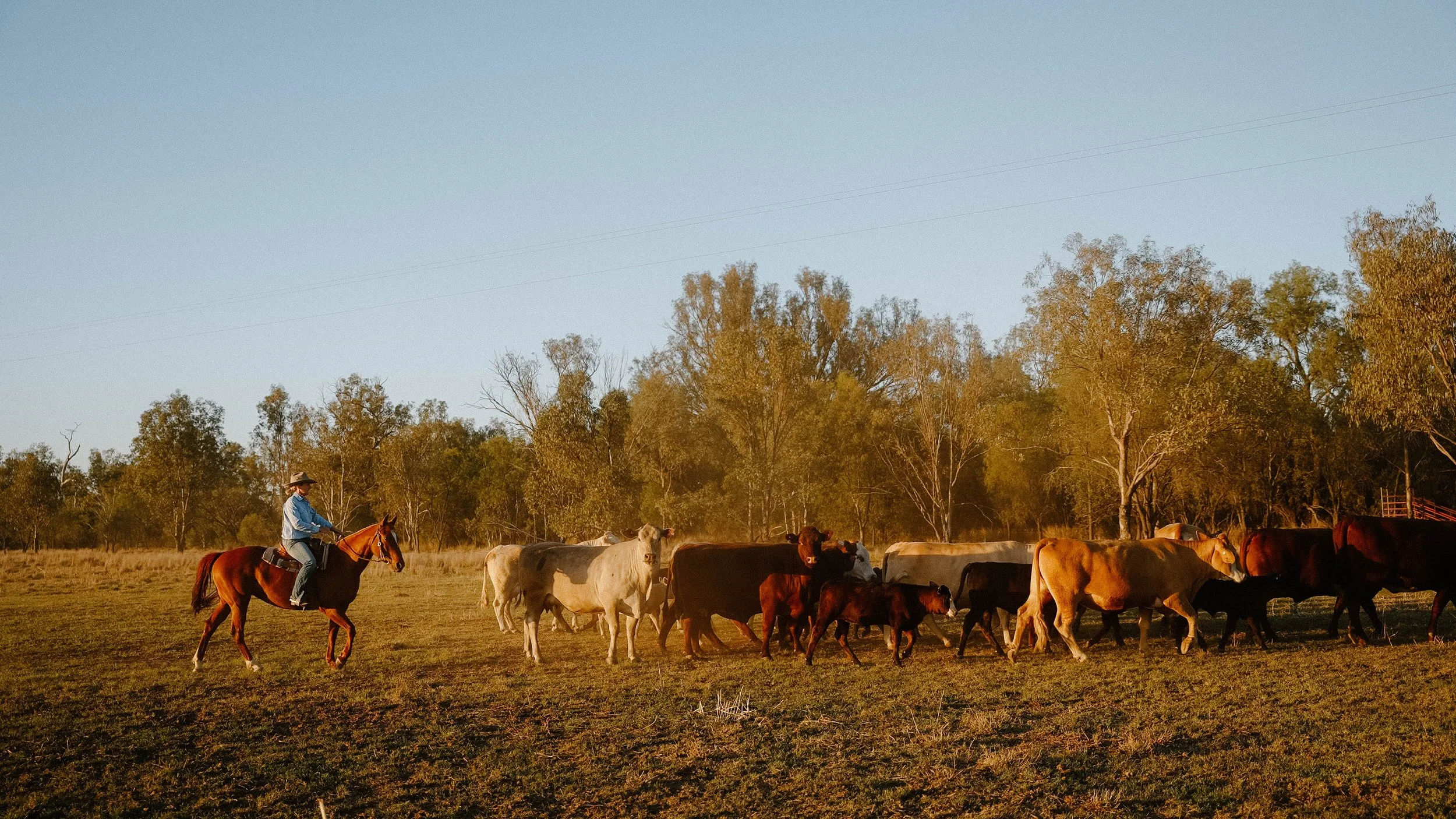 Buy From The Bush x Nutrien Ag Solutions