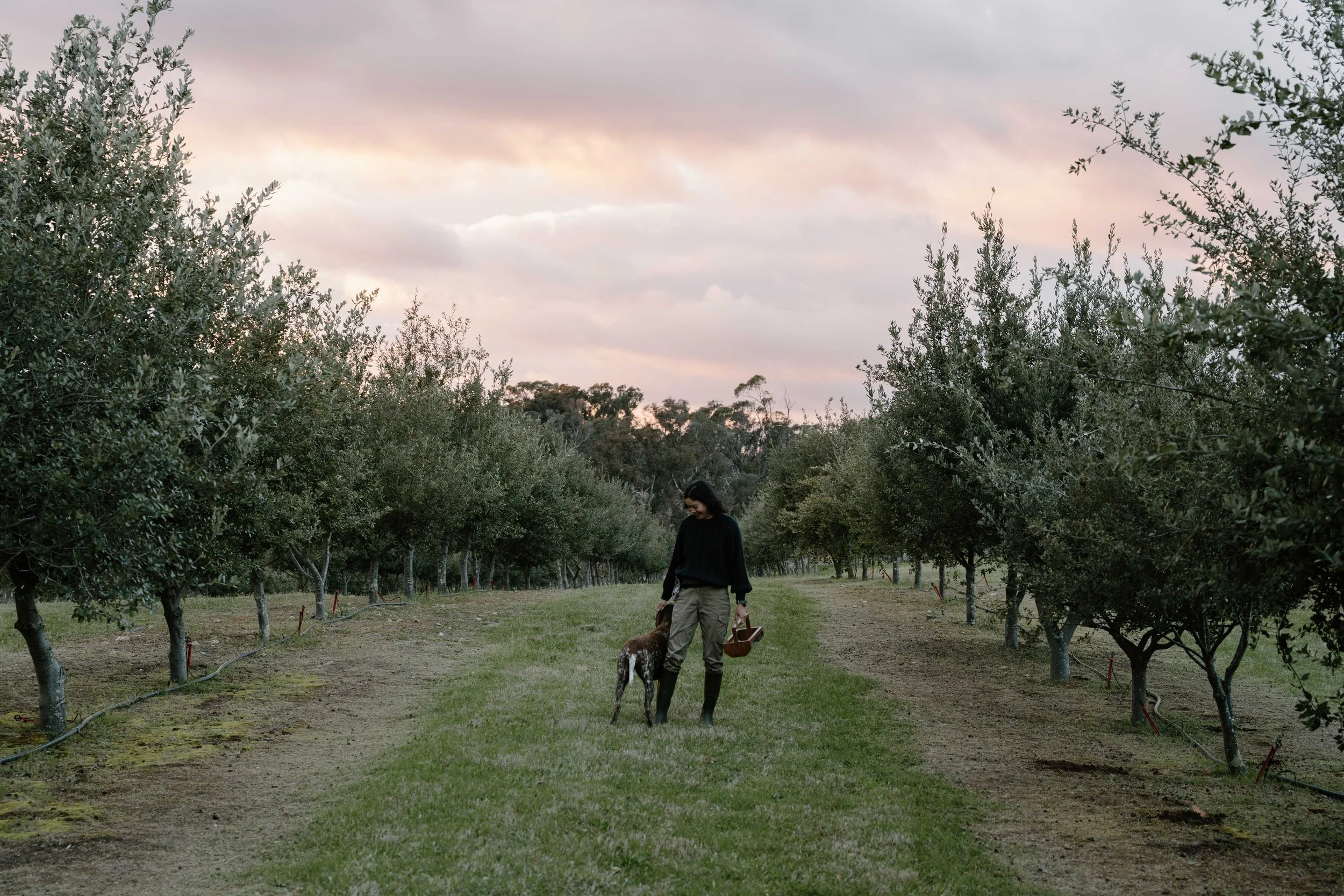 Trumami_DSC3792_September 22, 2025.jpg