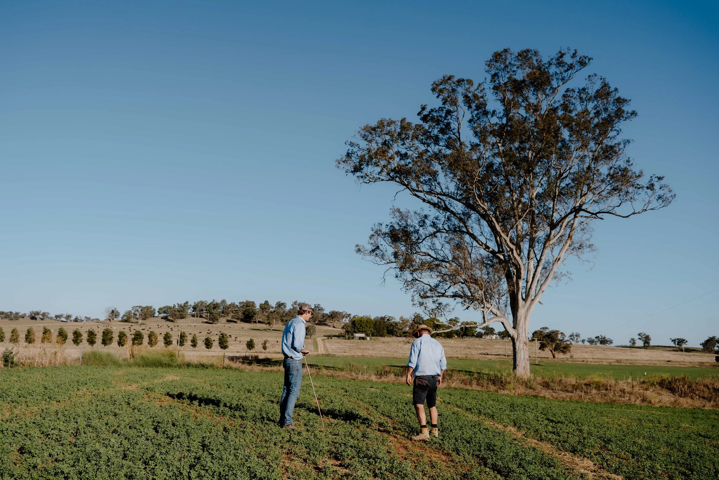 ConwayRural__DSC8821_December 18, 2024_SocialFormat.jpg