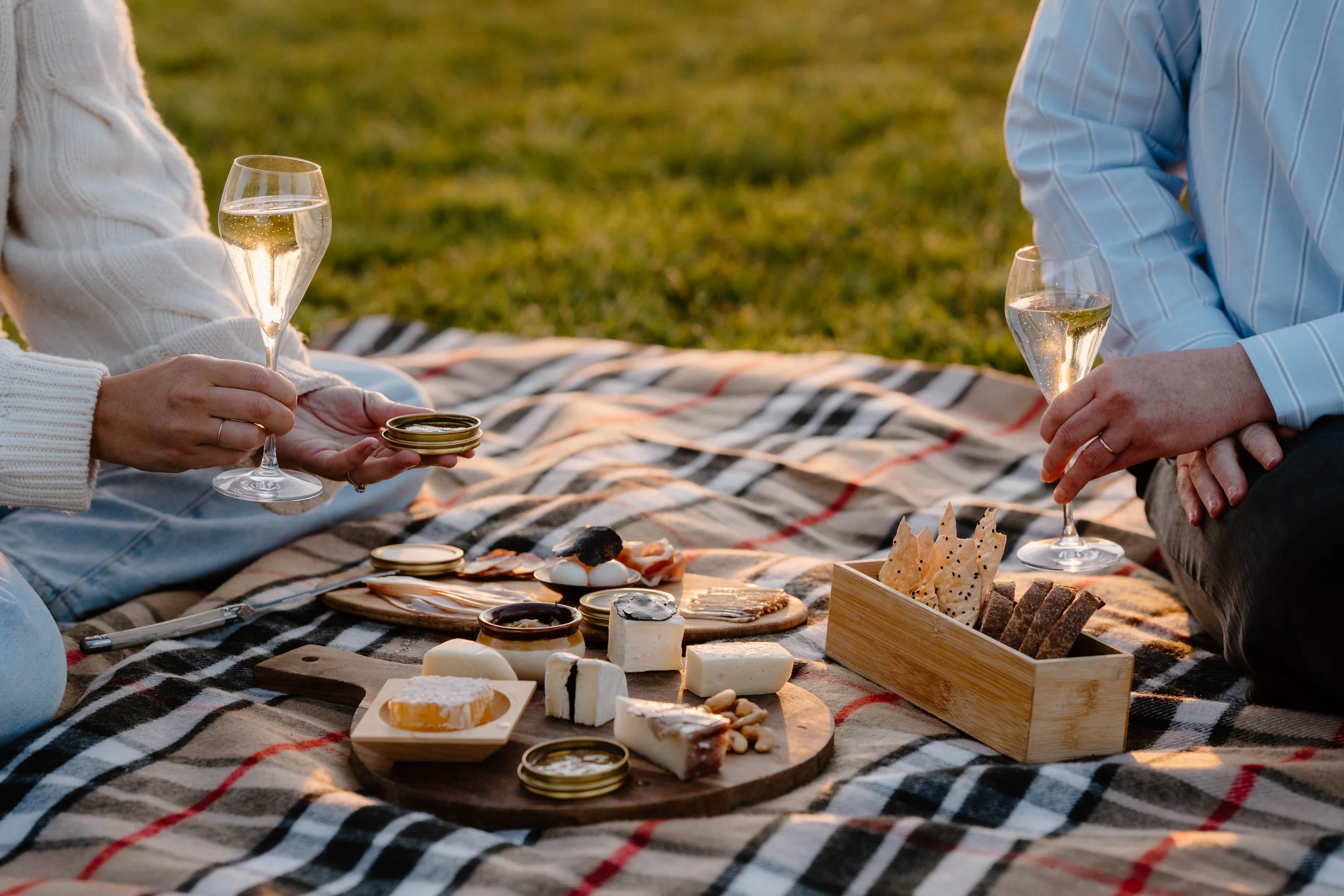 Trumami_DSC0484_September 25, 2025.jpg