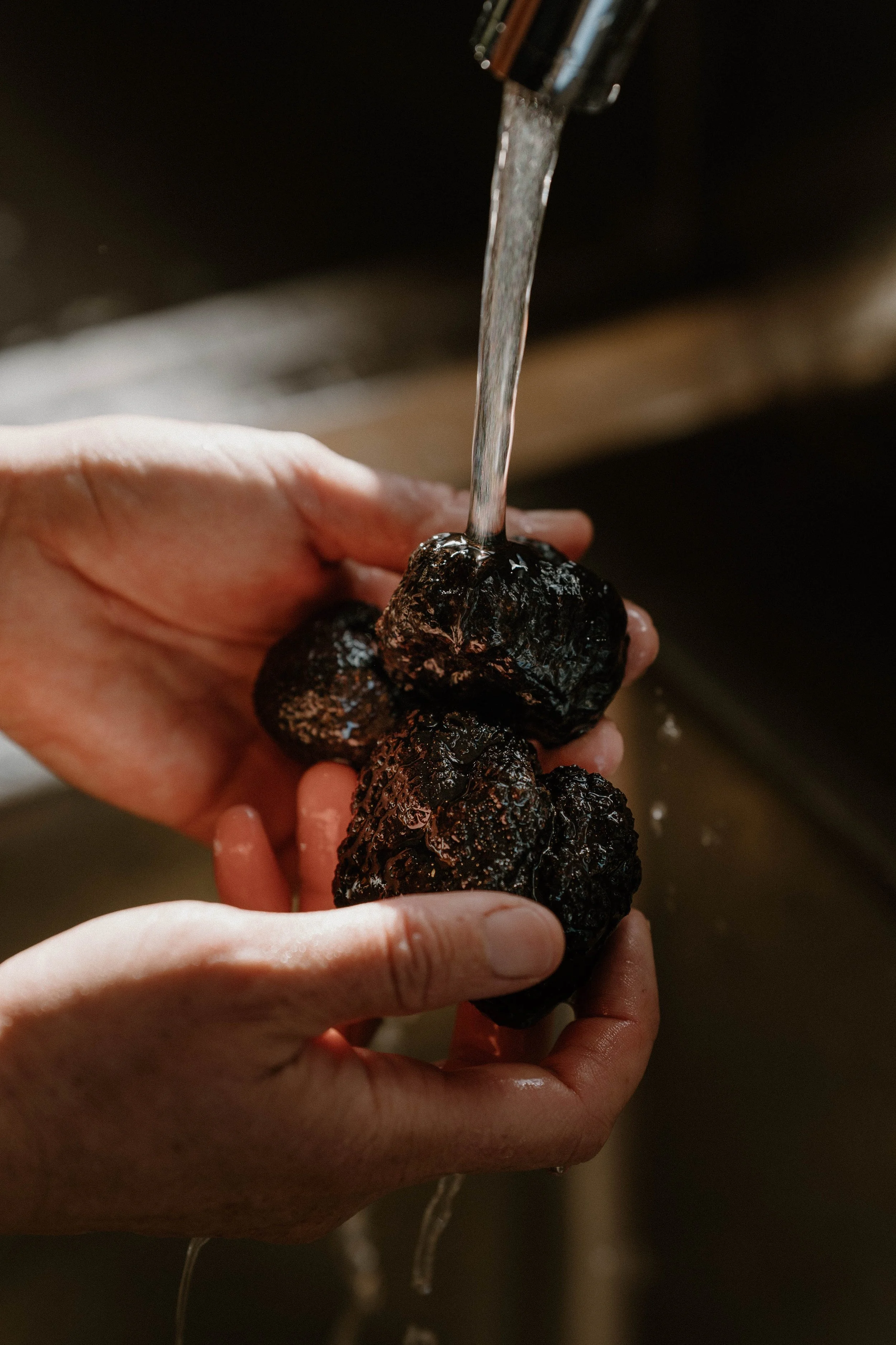 Trumami_DSC0377_September 22, 2025.jpg