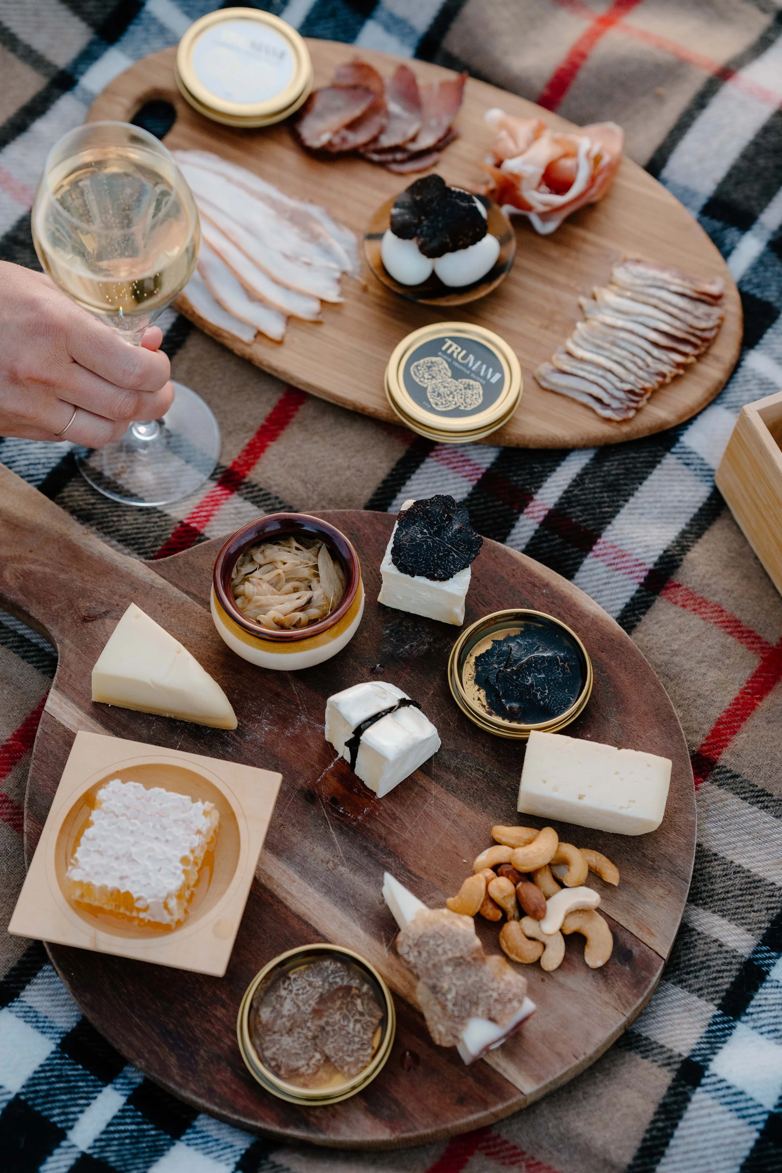 Trumami_DSC0509_September 25, 2025.jpg