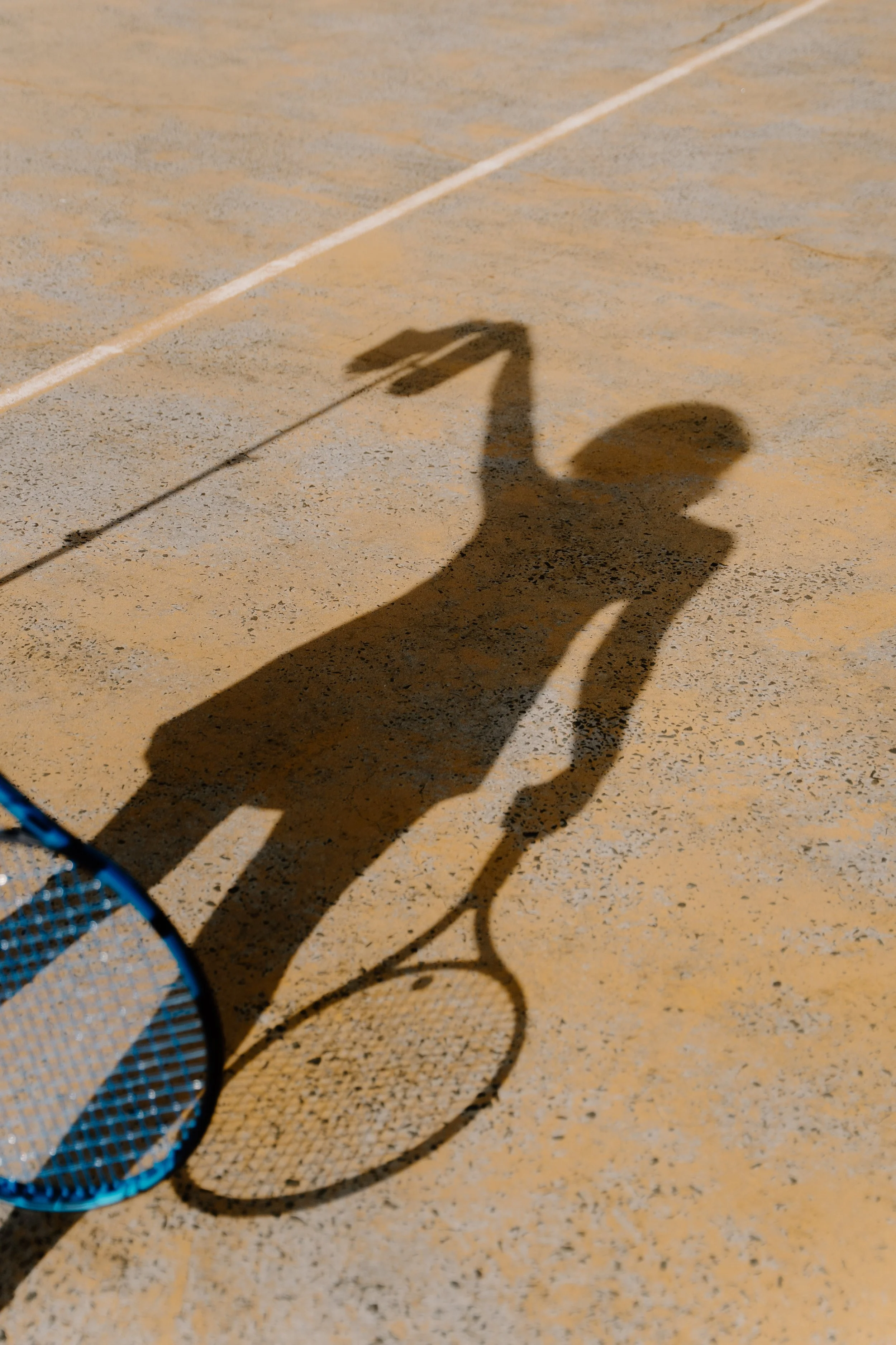 Vitaiv_DSC9350_August 01, 2025.jpg