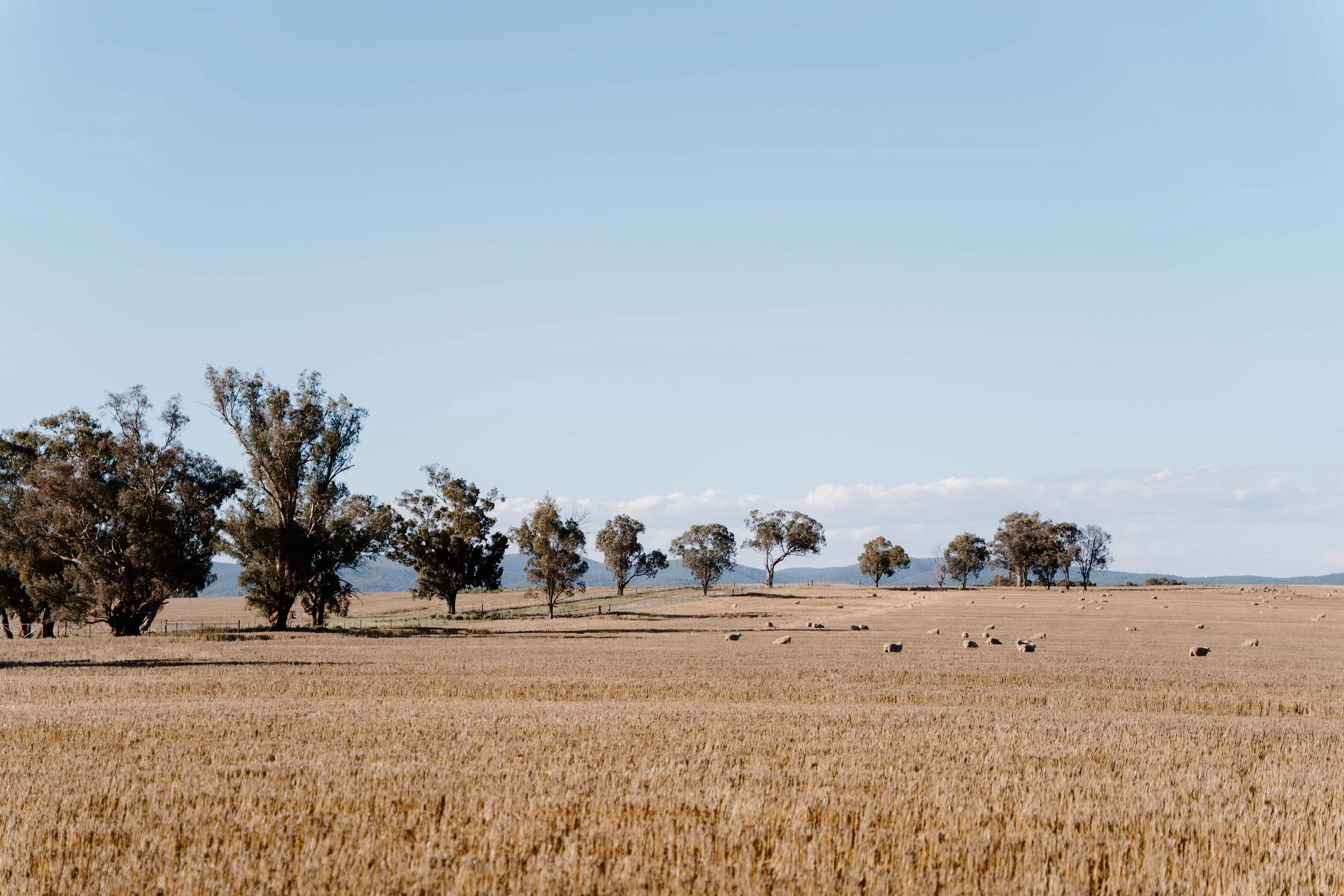 ConwayRural__DSC8695_December 18, 2024_SocialFormat.jpg