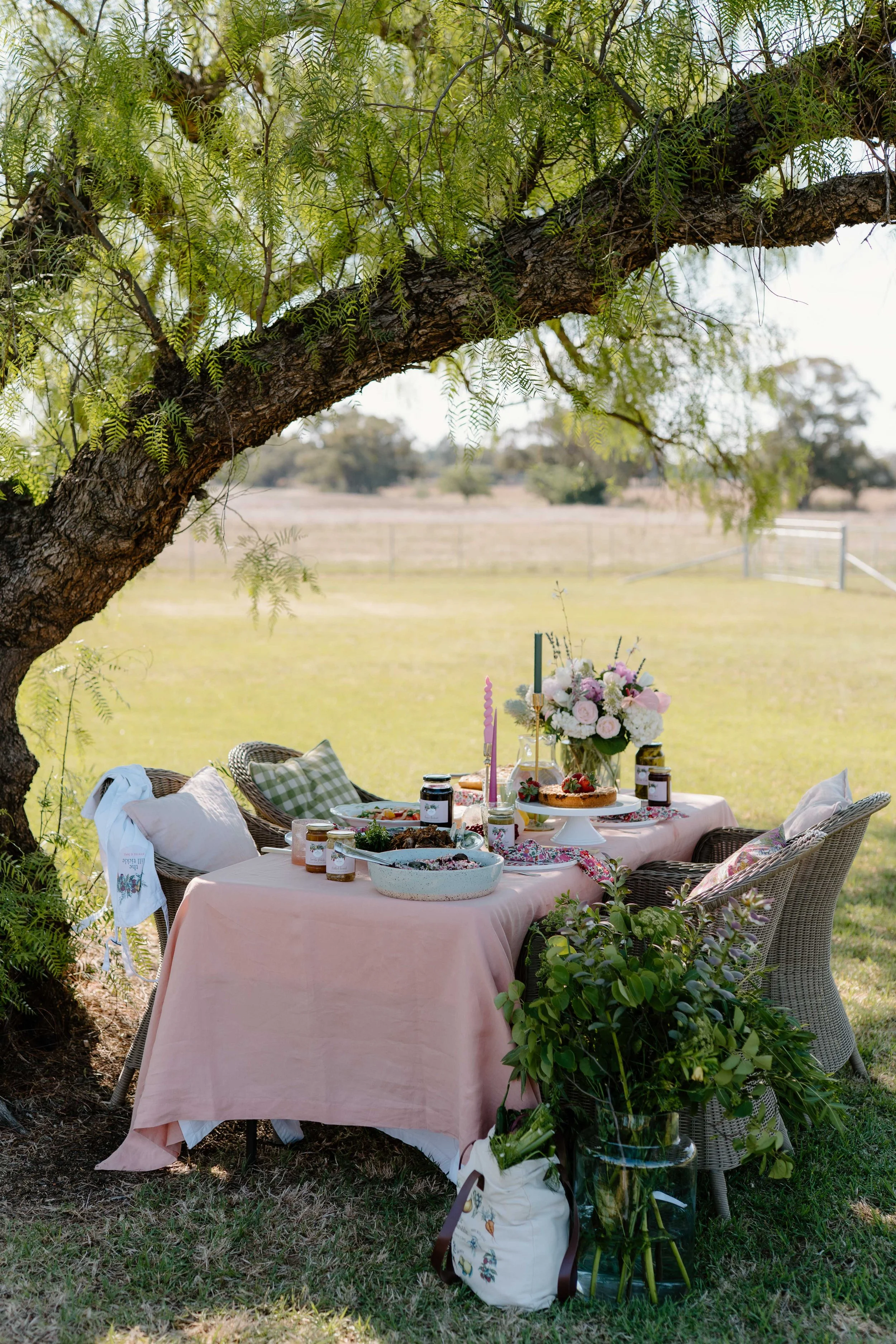 TheDillTickle_DSC6548_November 21, 2024_Socials.jpg