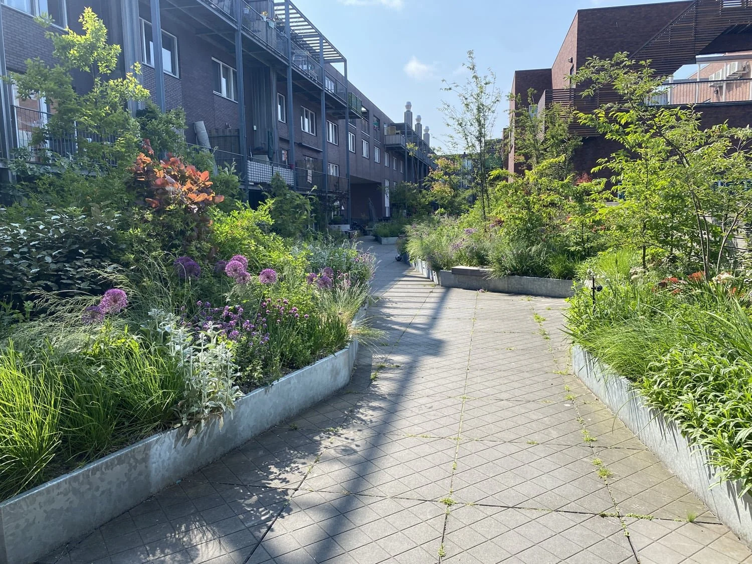 daktuin-005.jpg