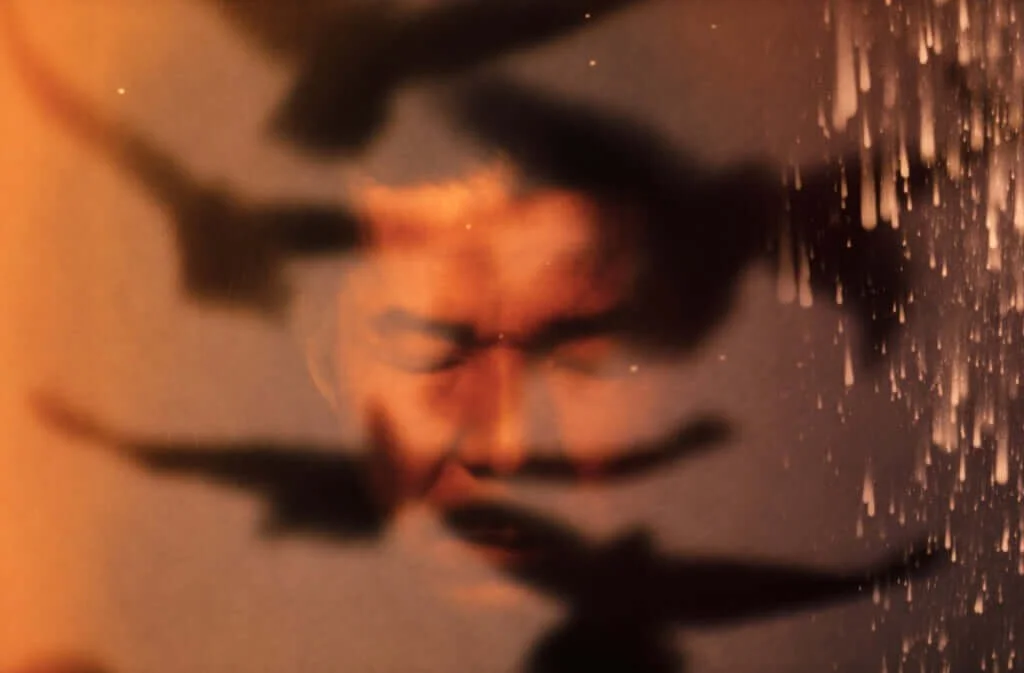 Flying and Falling: Masahisa Fukase