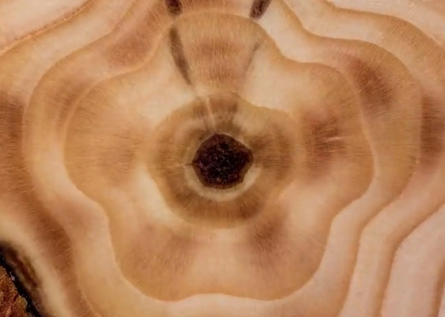 Stop motion