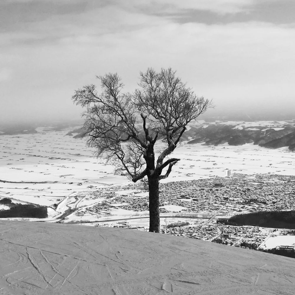 Japan and what we are not