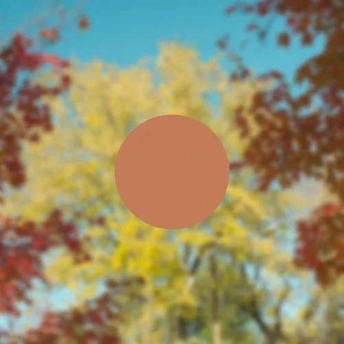 Expanding the Fall Palette