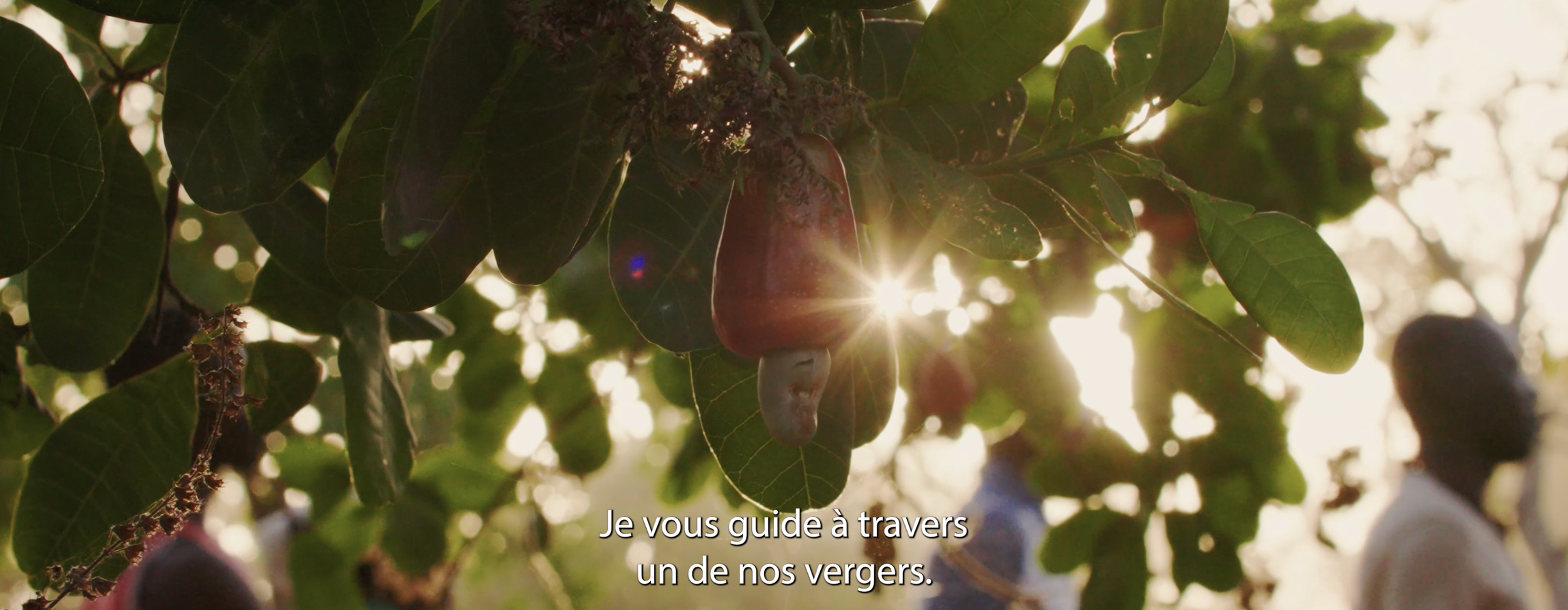 Scherm­afbeelding 2026-02-16 om 12.35.43.png