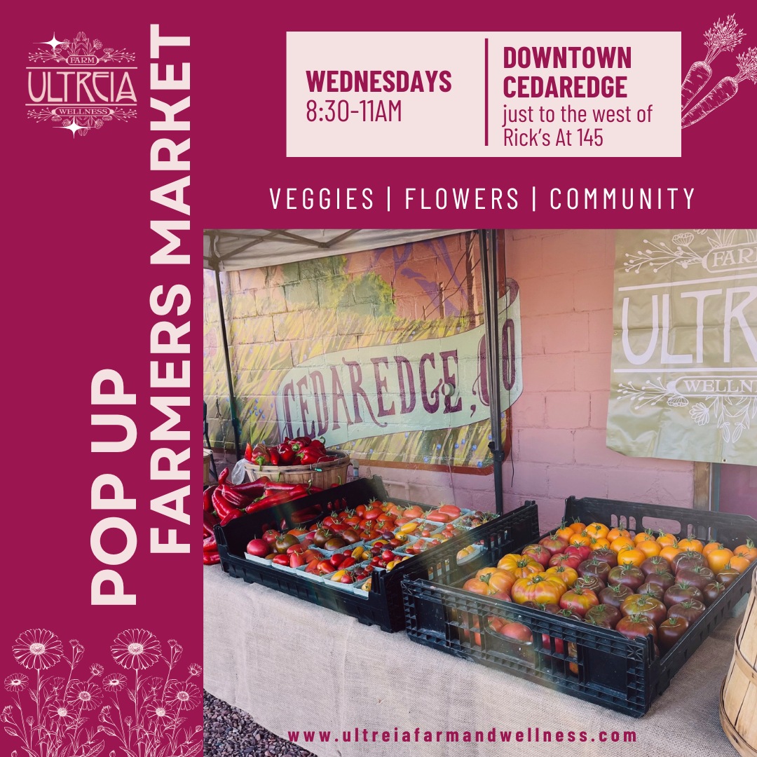 Cedaredge Pop Up Market