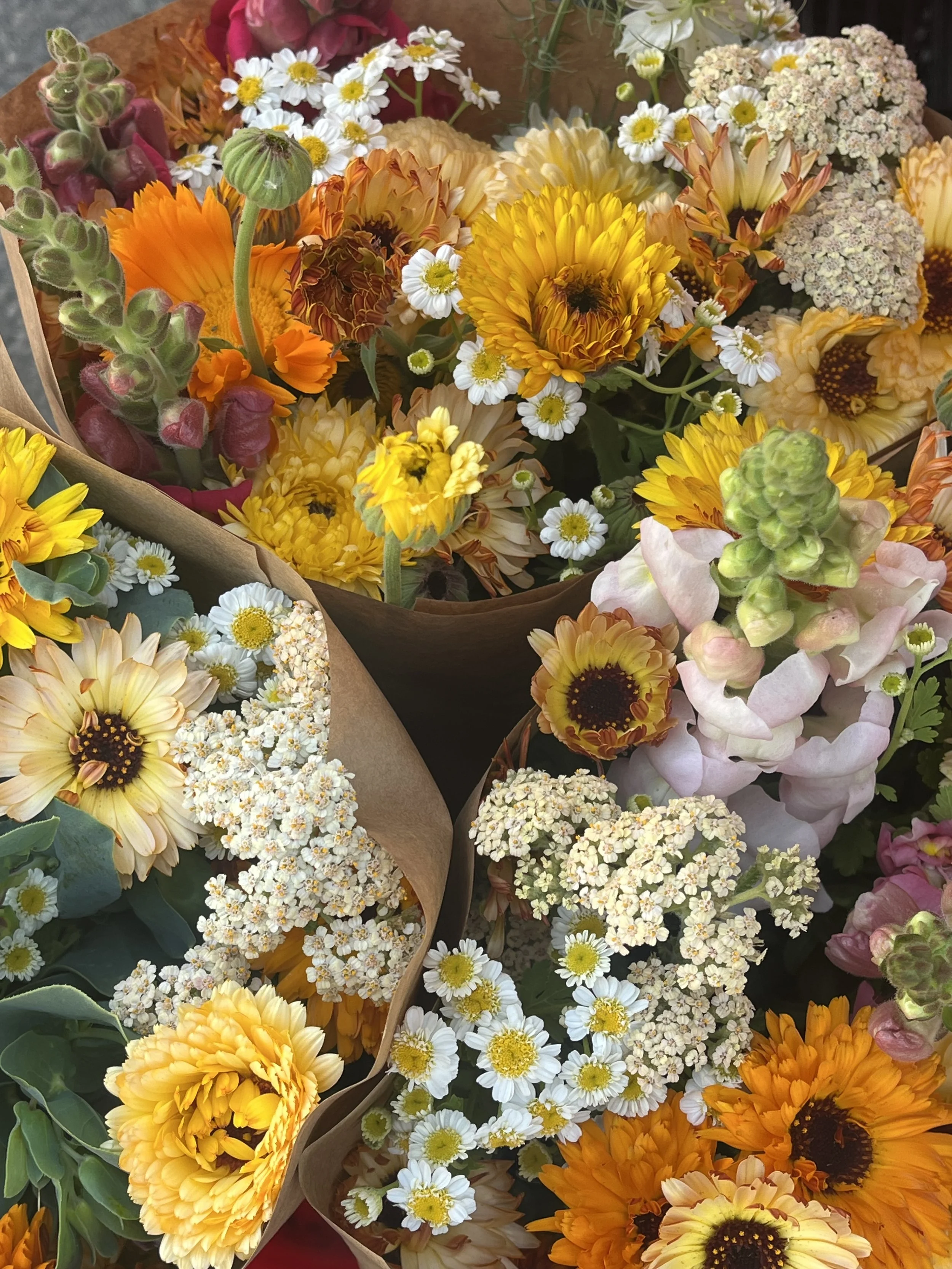 "Wild" Flower Bouqet