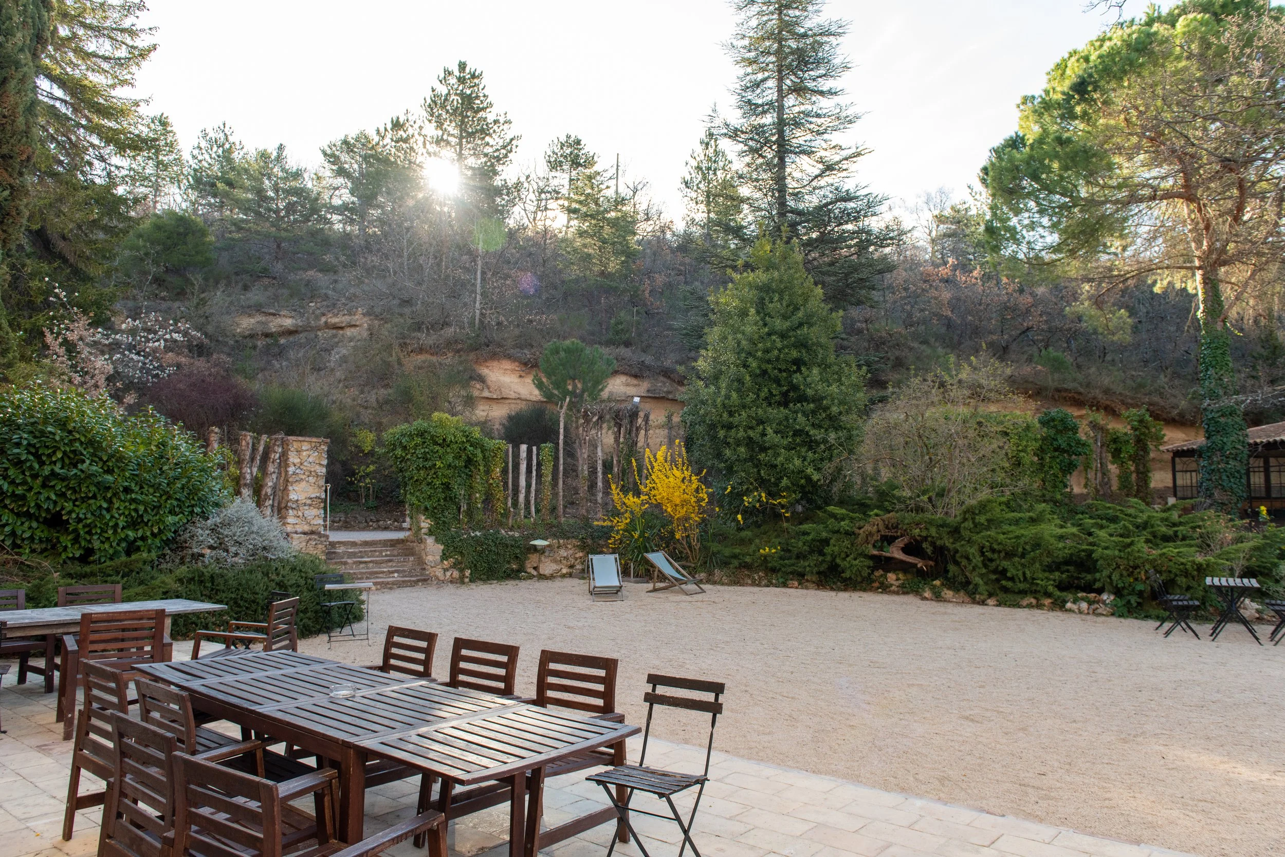 An outdoor patio area with wooden tables and chairs, surrounded by lush greenery and trees, with sunlight filtering through the trees.somatic coaching Portland

