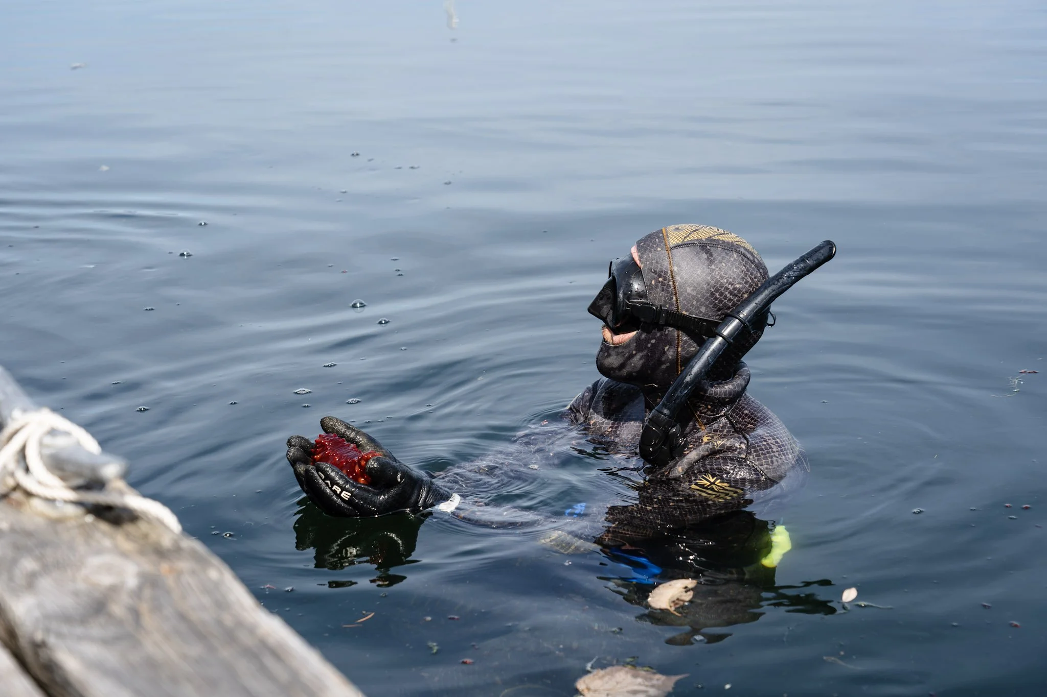 Photo Credit: Tristian Olson / Nisqually River Foundation