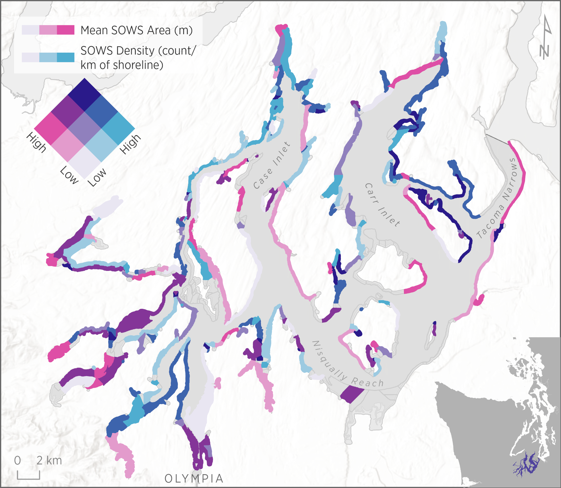 Bivariate visualization of SOWS Mean Area (pink) and SOWS Density (count per km of shoreline) (blue) for each Drift Cell in South Puget Sound. Drift Cells that contain SOWS with larger average sizes (Area) are shown with darker pink; Drift Cells with