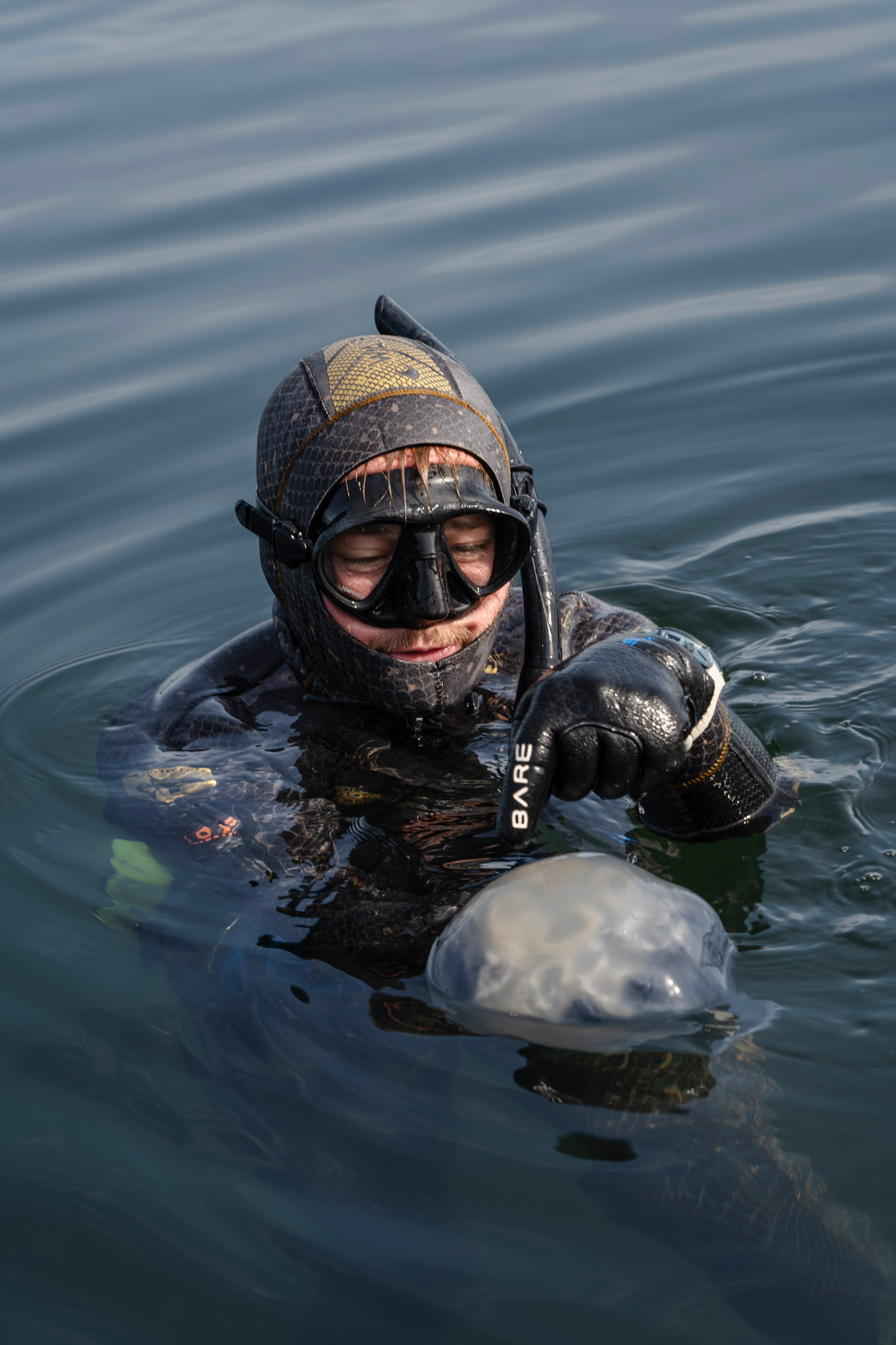 Photo Credit: Tristian Olson / Nisqually River Foundation