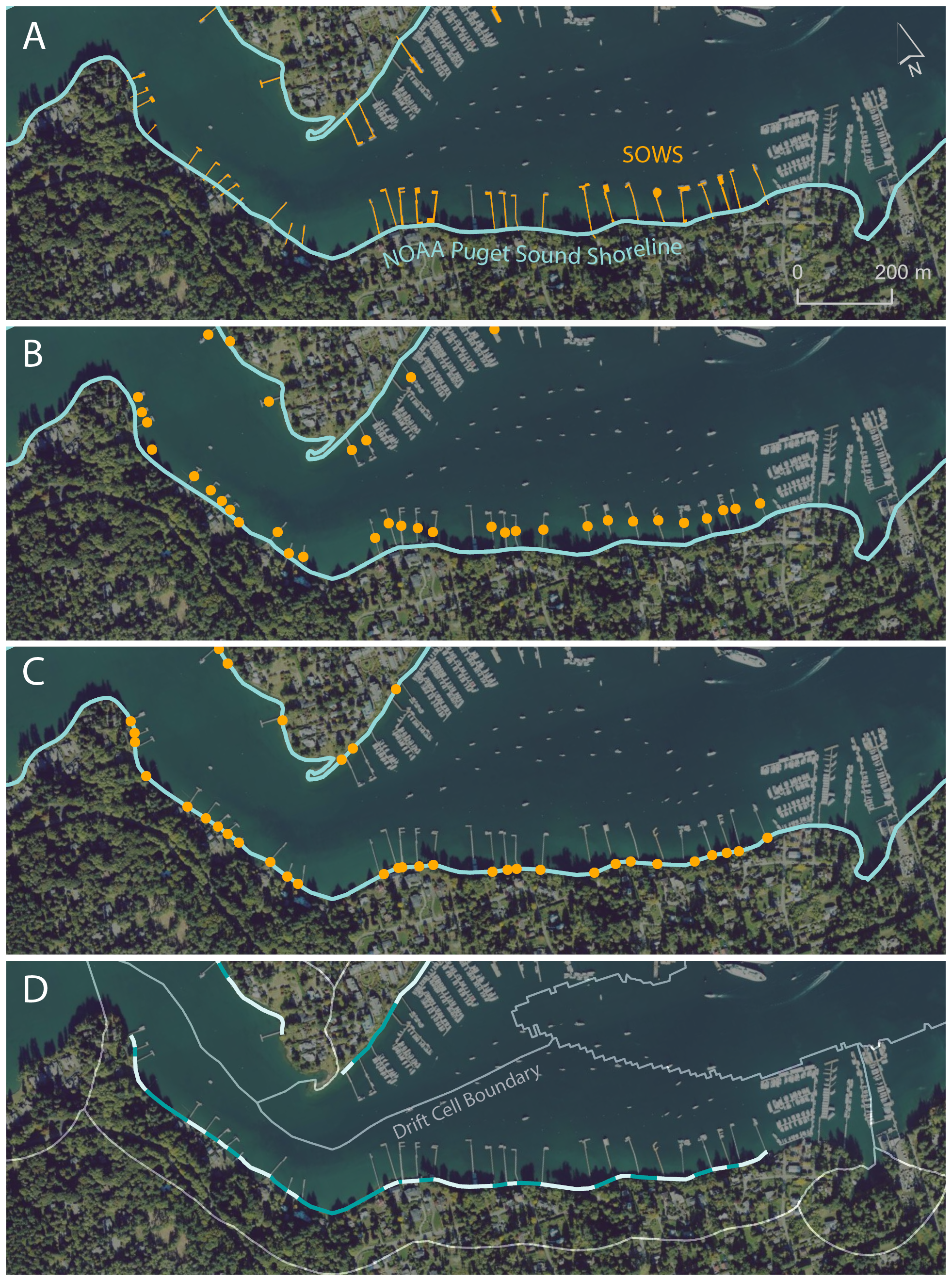  SOWS spacing analysis workflow example. A) SOWS polygons in orange and NOAA Puget Sound Shoreline (2018) in blue. B) SOWS centroids are generated. C) Centroids are snapped to the nearest shoreline edge. D) Shoreline is split at centroids into smalle