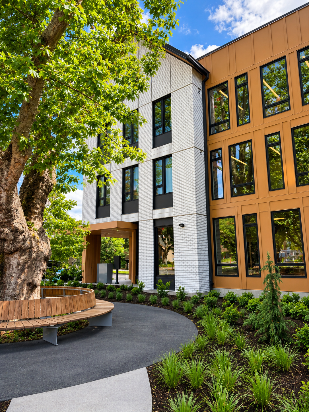 Hillside Park A - view of building with tree.png