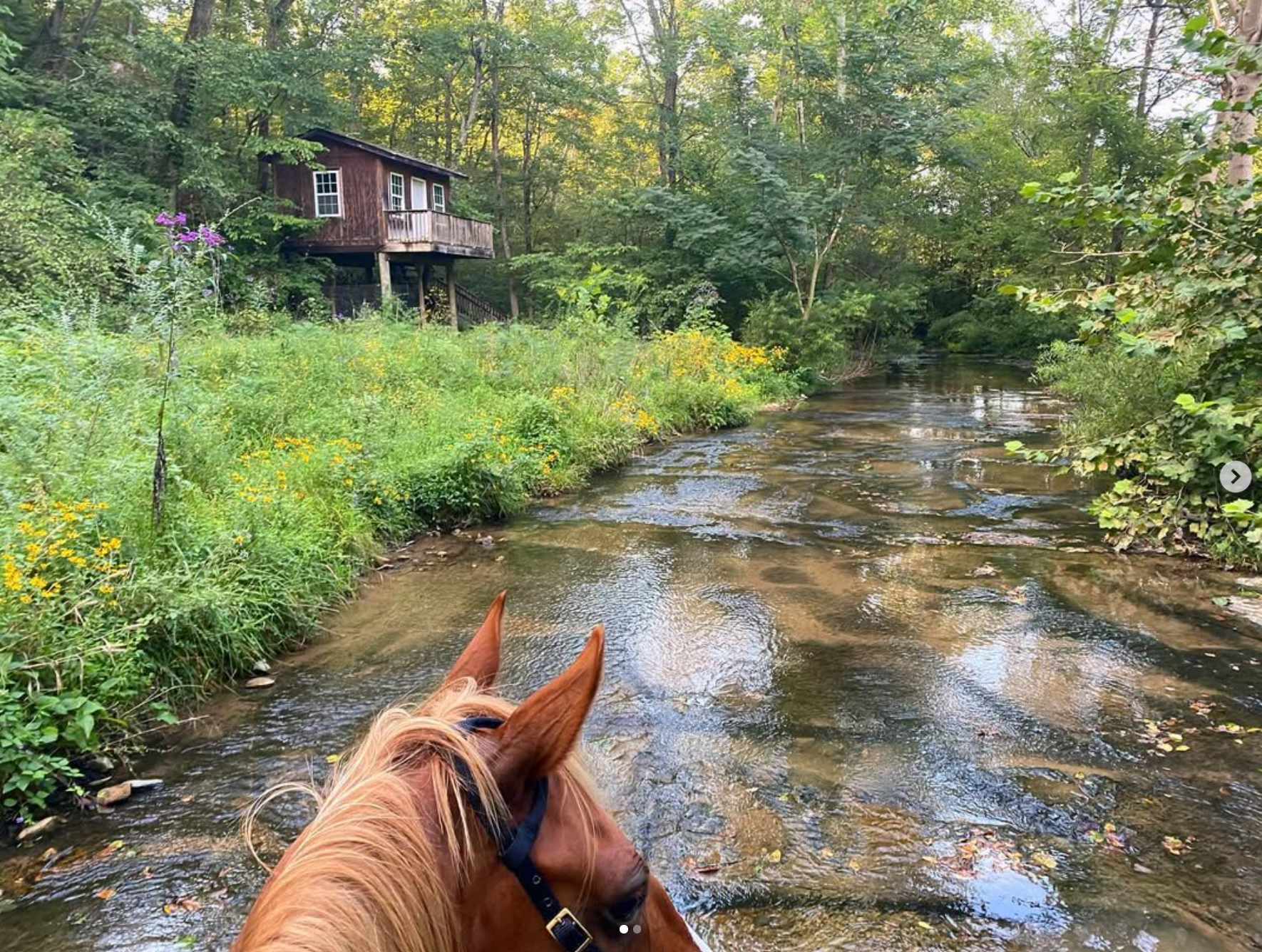 Sam's Creek, which runs behind the Hannas' property.