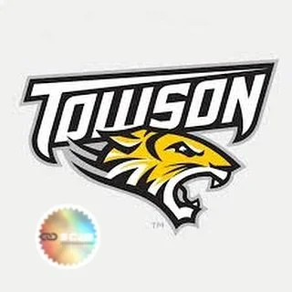 Towson University &ndash; Strength &amp; Conditioning Coach 🐅🏋️&zwj;♀️

📍 Towson, Maryland | 🎓 Division I (CAA)
💼 Full-Time Paid Position | 💰 $55,000&ndash;$60,000/year
📅 Start Date: December 4th, 2025

Overview:
Towson University is seeking a