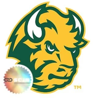 💥 North Dakota State University &ndash; Football Paid Internship (Spring 2026)
📍 Fargo, ND | 🏈 Division I (FCS Powerhouse) | 💰 $600/month stipend + meals
🗓 January 13 &ndash; May 15, 2026

North Dakota State University Football Sports Performanc