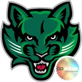 🏋️&zwj;♂️ Binghamton University &ndash; Head Sports Performance Coach
📍 Binghamton, NY | NCAA Division I (America East Conference)
💼 Full-Time Paid Position | Salary: Commensurate with Experience

Binghamton University is seeking a Head Sports Per