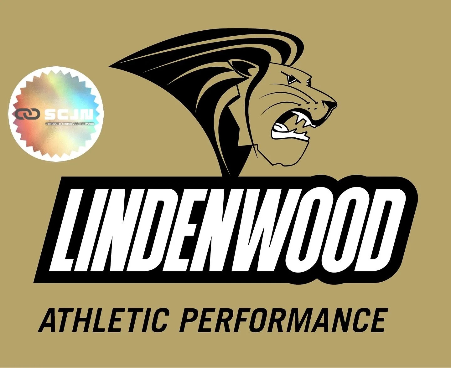 📍 Lindenwood University &ndash; Spring 2026 Athletic Performance Internship
St. Charles, MO | NCAA Division I | Volunteer (Unpaid)

Lindenwood Athletic Performance is hiring Spring 2026 VOLUNTEER interns to work with a variety of their 20+ varsity t