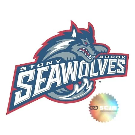 SUMMER 2026 S&amp;C INTERNSHIPS &mdash; FOOTBALL &amp; OLYMPIC SPORTS 🚨

📍 Stony Brook University
🗓️ 8-Week Summer Internship (Volunteer)
🏈⚽🏀🏐 Division I Experience

Stony Brook is seeking Volunteer Strength &amp; Conditioning Interns for Summe