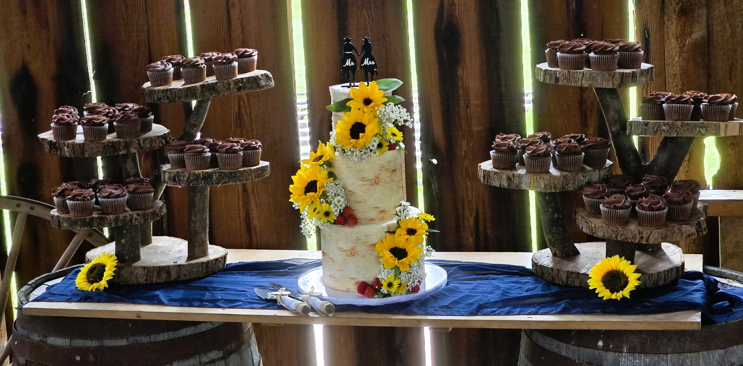 The style of the wedding was country cowboy with lots of leather and browns, boots, vests, hats, bark, and two towers of chocolate cupcakes. The topper was the couple on horses holding hands. Very cool. 