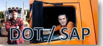 DOT SAP.jpeg