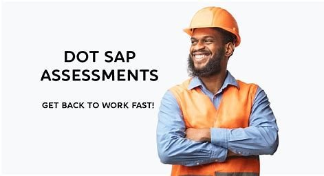 DOT SAP ASSESSMENTS pic.jpeg