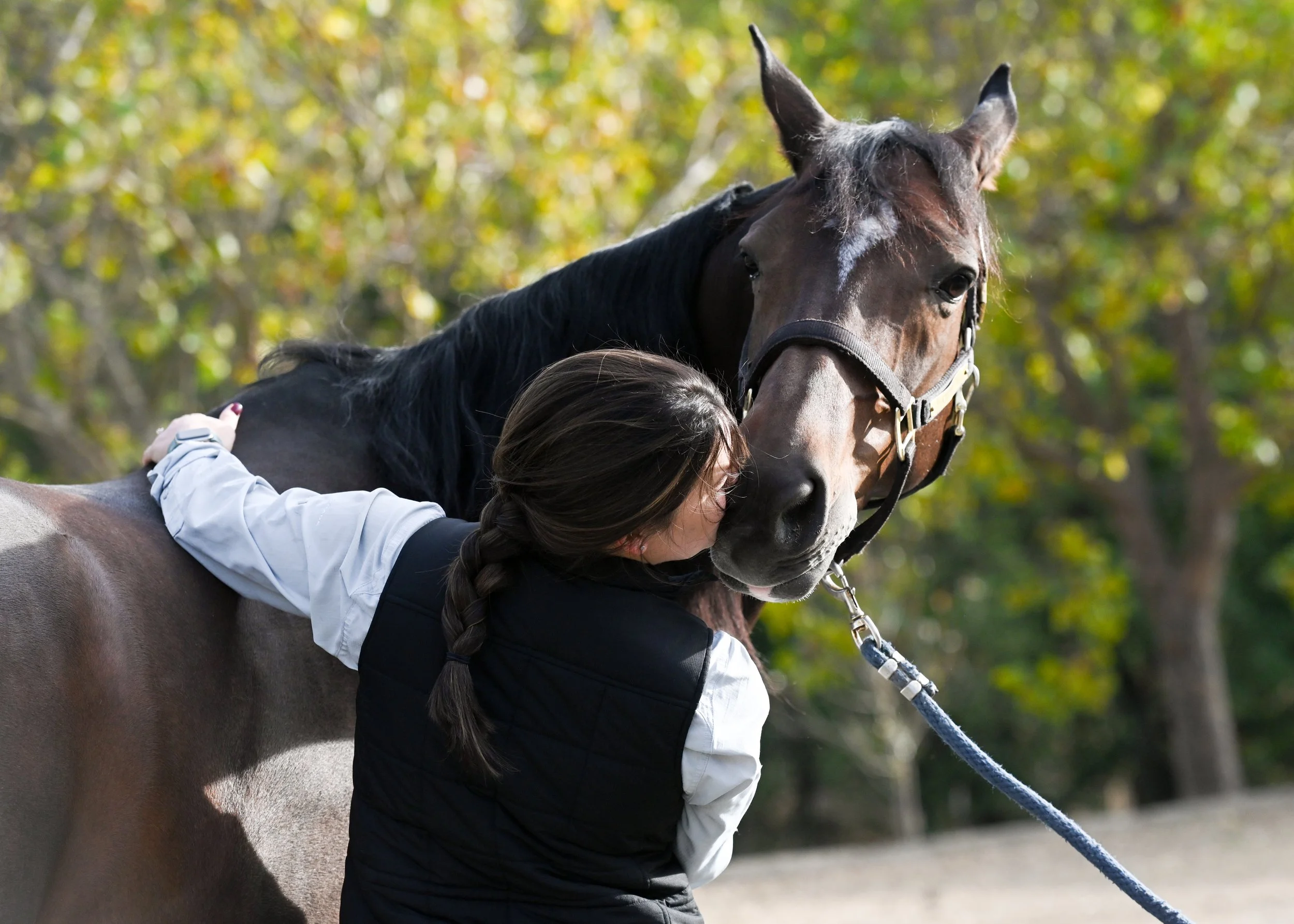 Premier Equine Veterinary Services