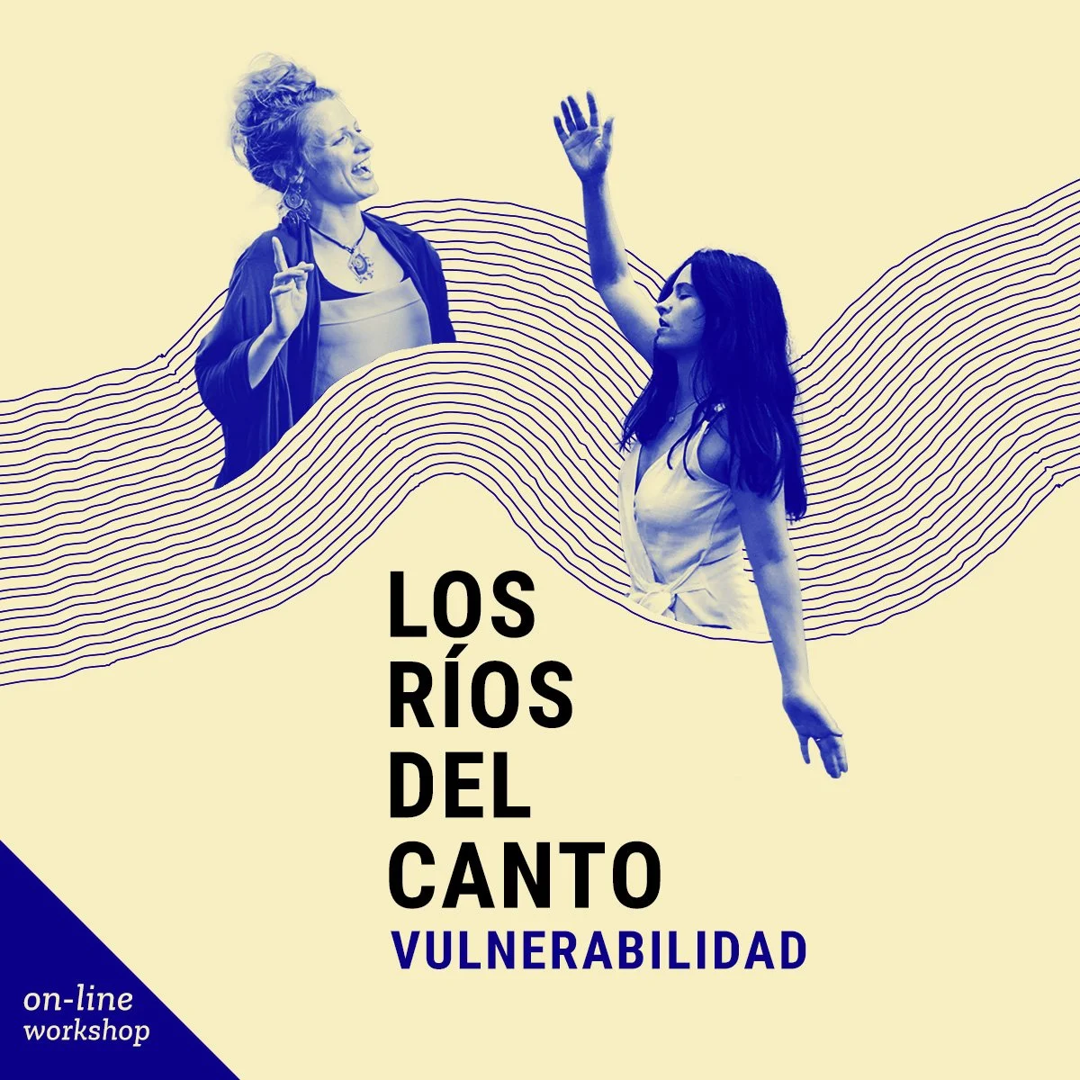 Los Ríos Del Canto - vulnerabilidad - workshop online