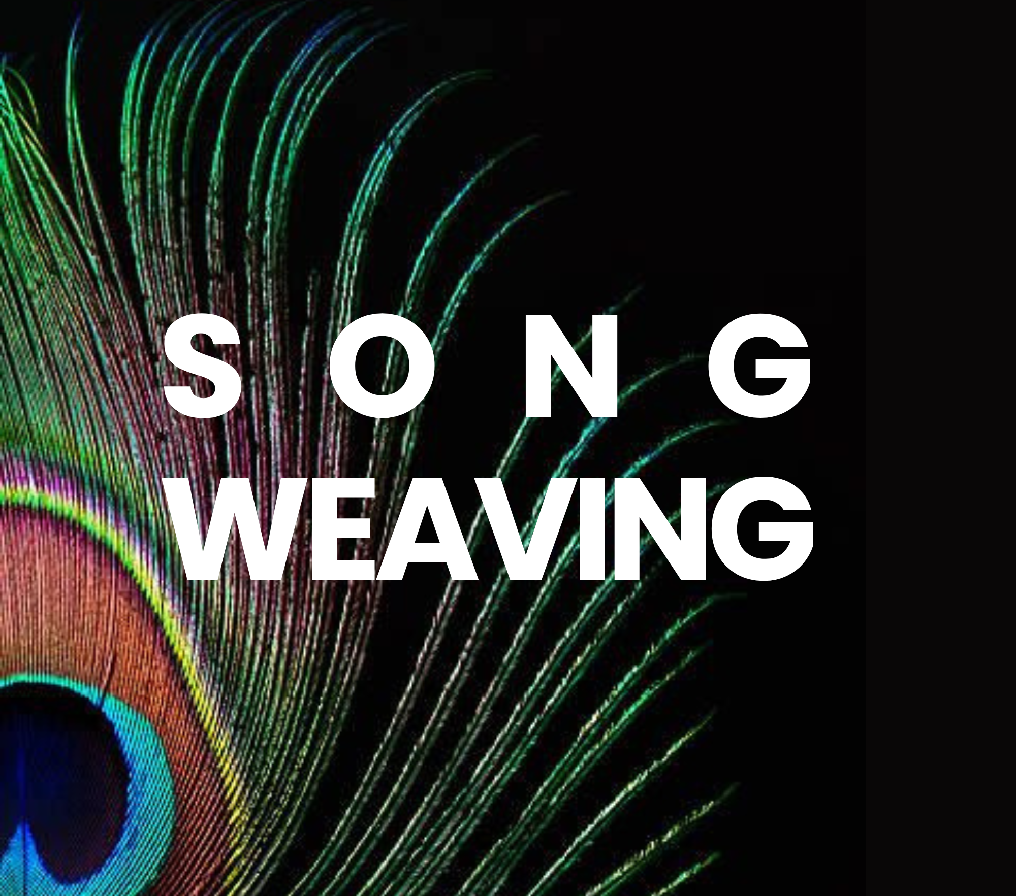 SONG WEAVING. Singing, sounding and vocal improvisation.
