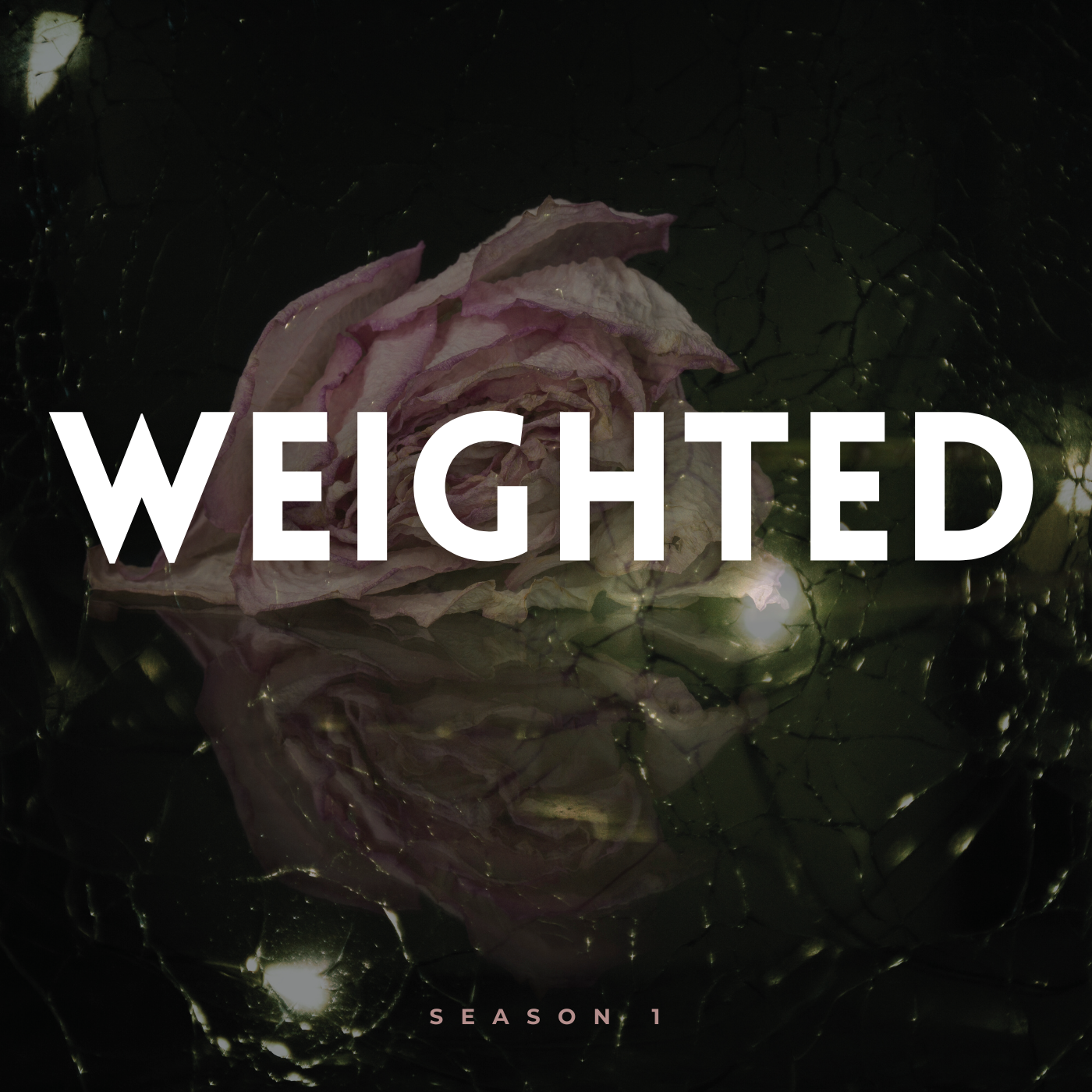      &nbsp;        &nbsp;      










































  

    

       

         
          
             
             
              
              
              
              
              
              
              
   