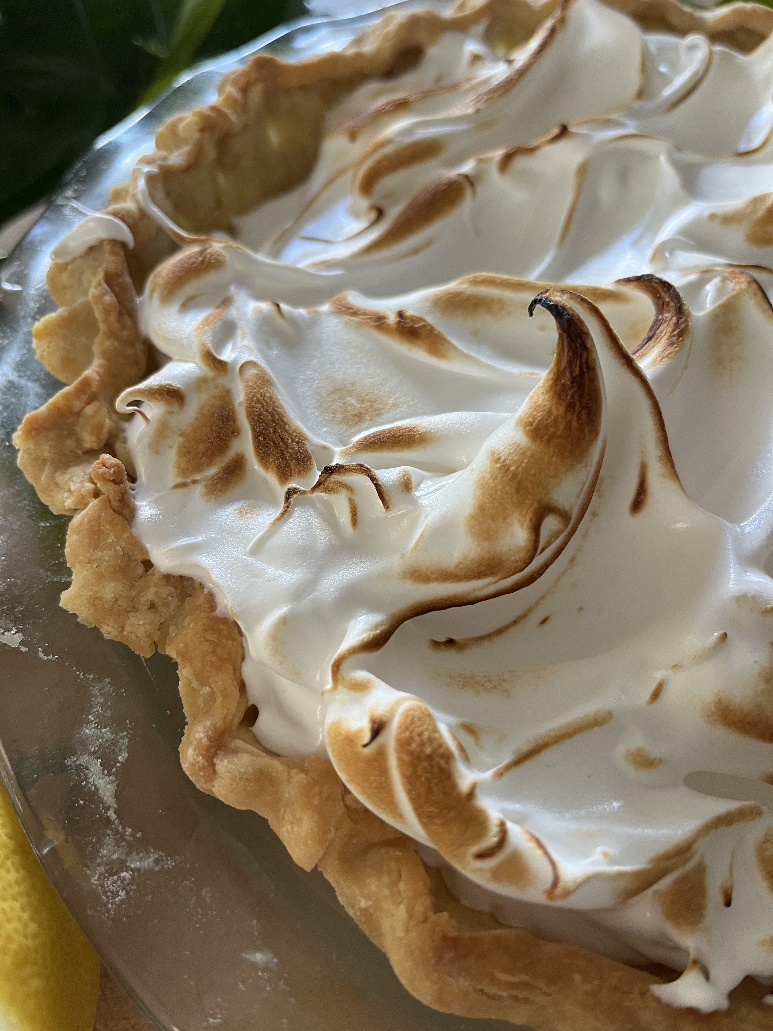 Toasted meriengue.jpg