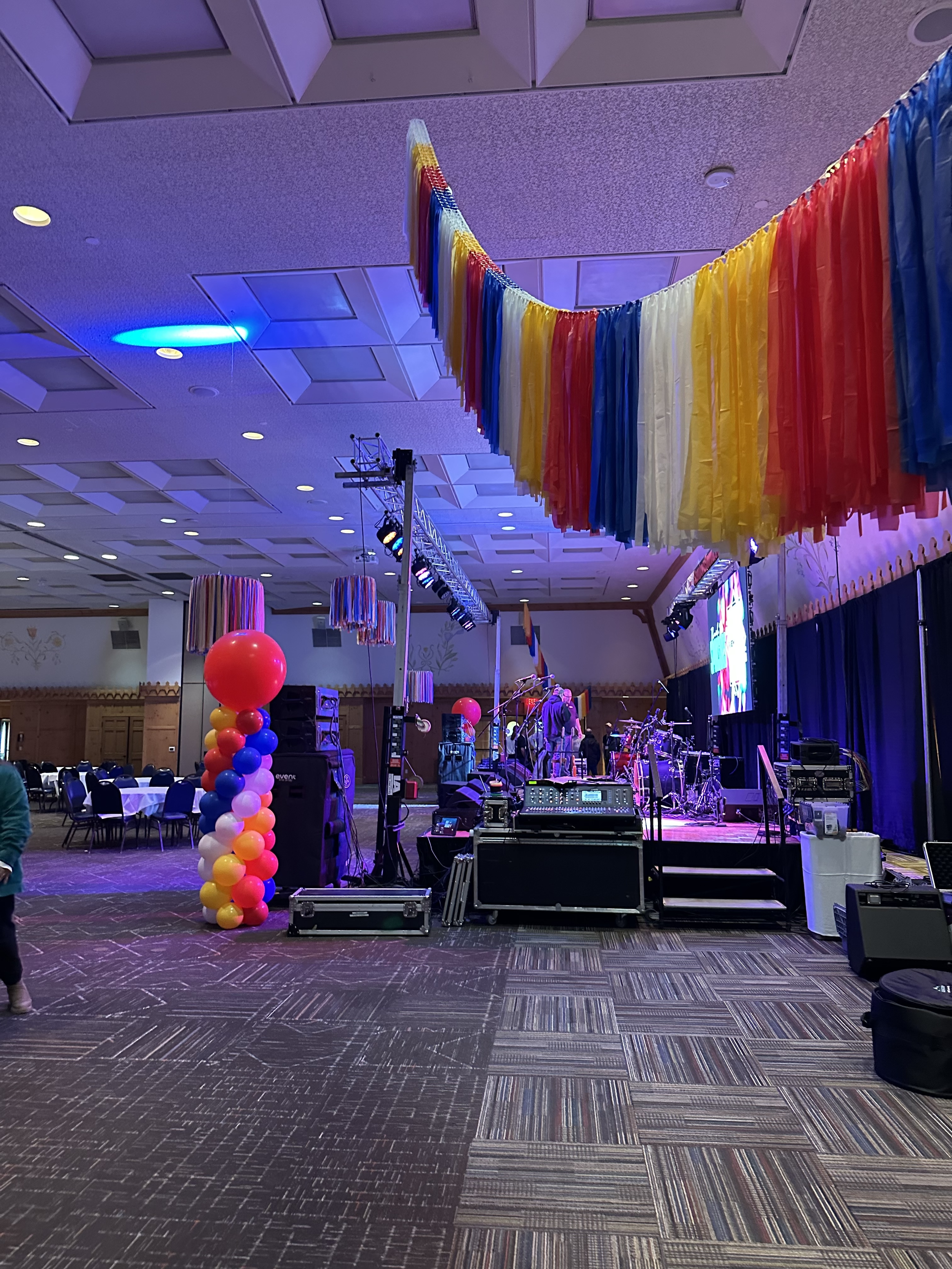20' Fringe Garland & 24" Fringe Chandeliers