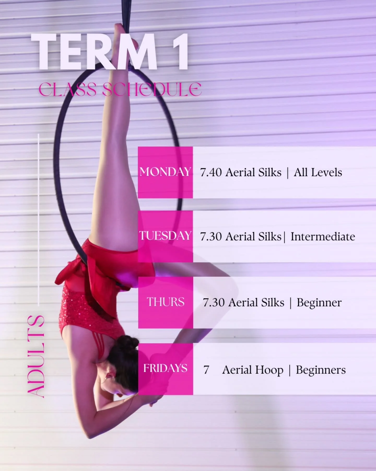 We're back 💪
Full schedule for Term 1 adult classes
Book casually or grab a class pass