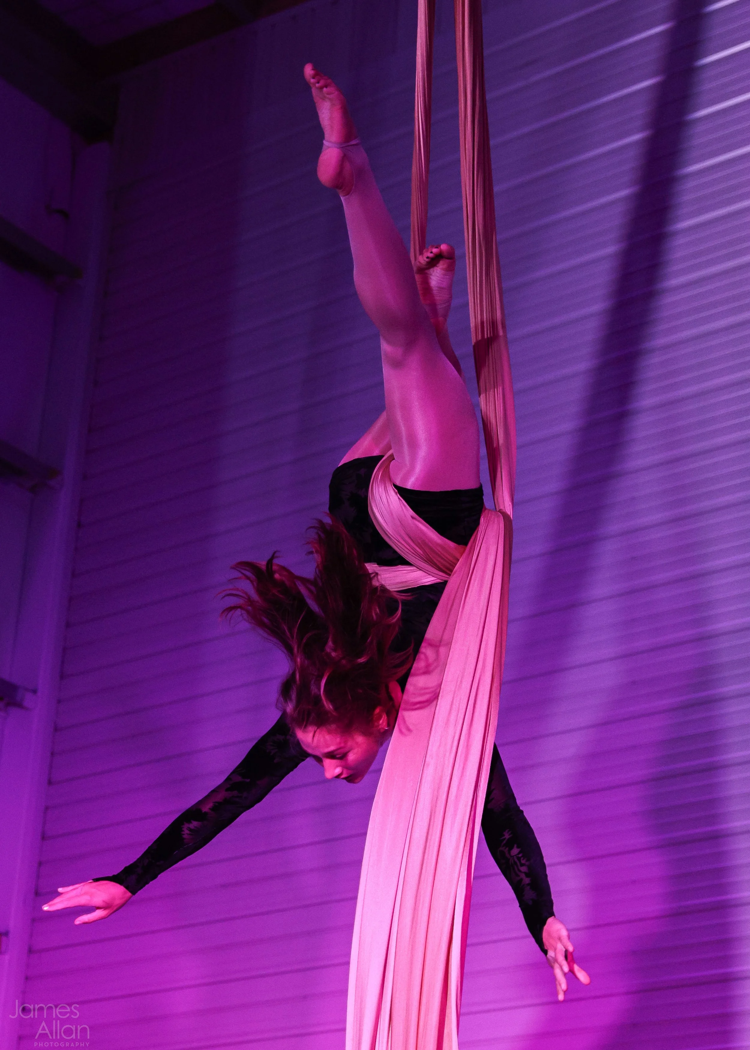 Aerial silk artist performing on pink and purple lighting, wearing a colorful, patterned sports outfit, hanging upside down on fabric.
